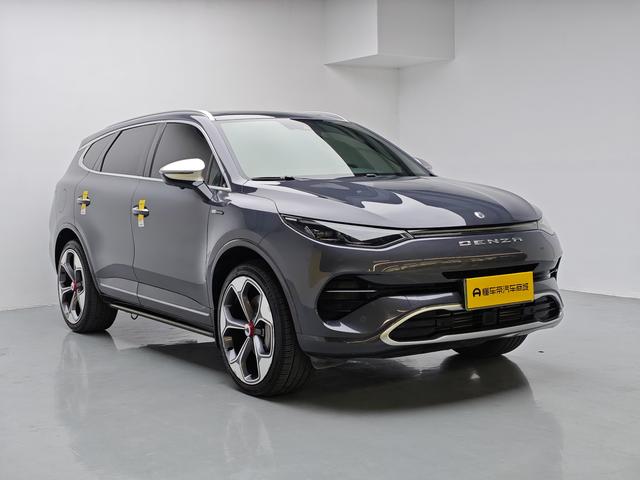 Denza 2021 imagem de carro #4