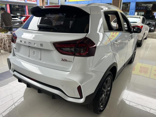 睿蓝汽车 睿蓝汽车X3 PRO 2023 汽车图片 #4