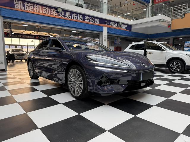 Denza 2024 imagem de carro #4