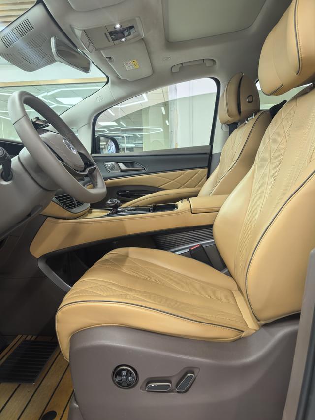 Denza D9 2023 imagen de coche #4