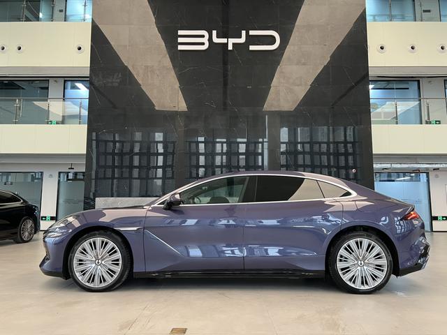 Denza 2024 immagine di auto #4