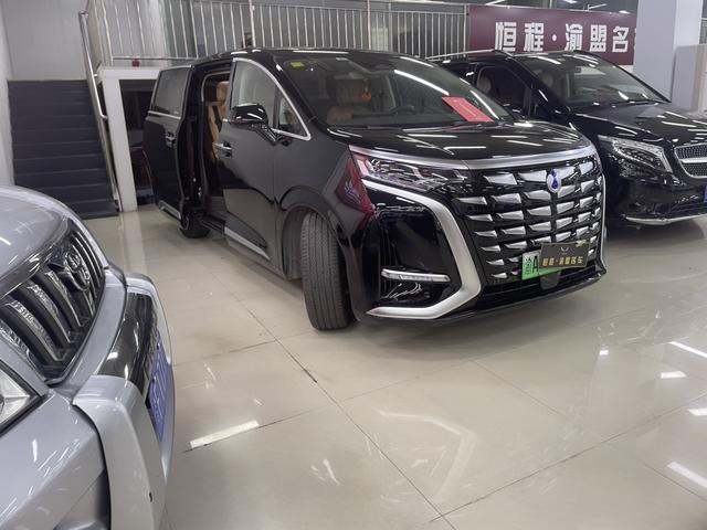 Denza D9 2025 imagem de carro #4