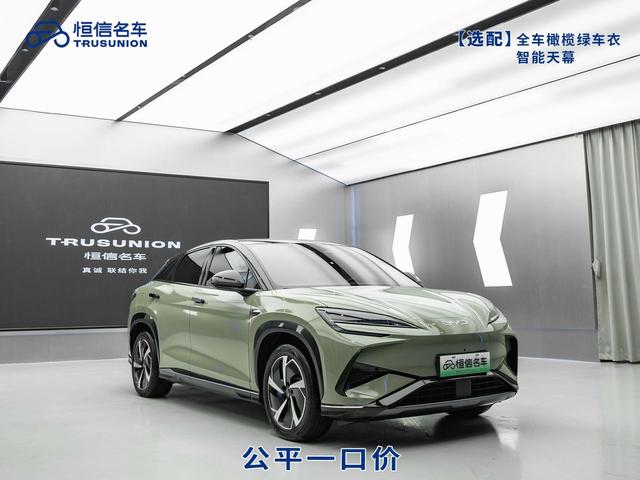 BYD Sea Lion 07 EV 2024 car image #4