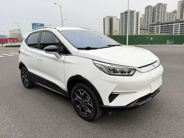 BYD Yuan Pro 2021 immagine di auto #4