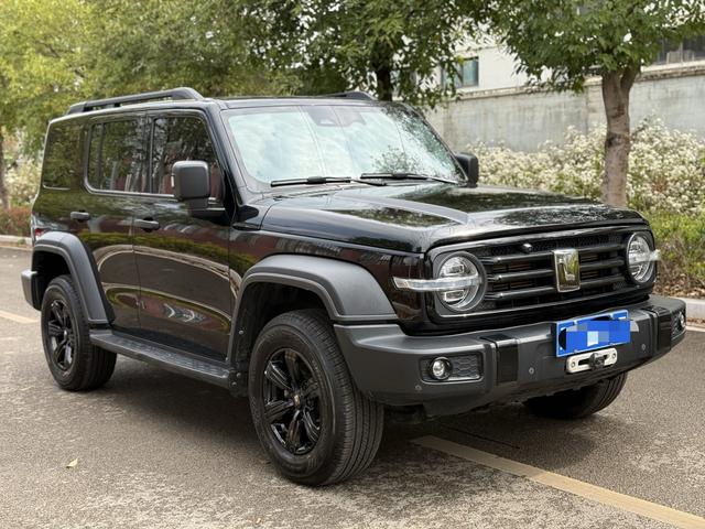 Tank 300 2022 car image #4