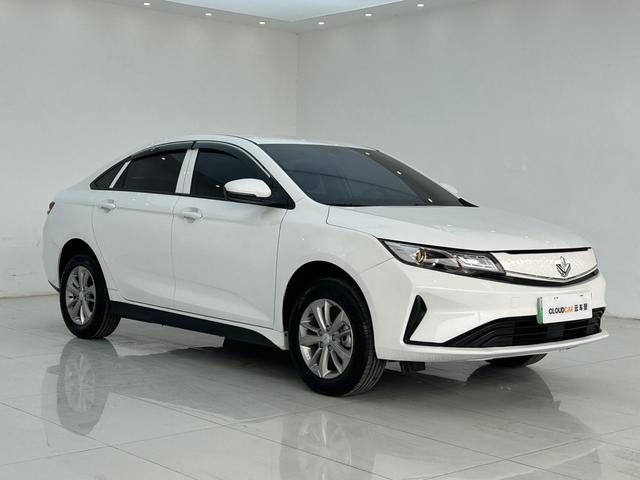 睿蓝汽车 枫叶60s 2022 汽车图片 #4