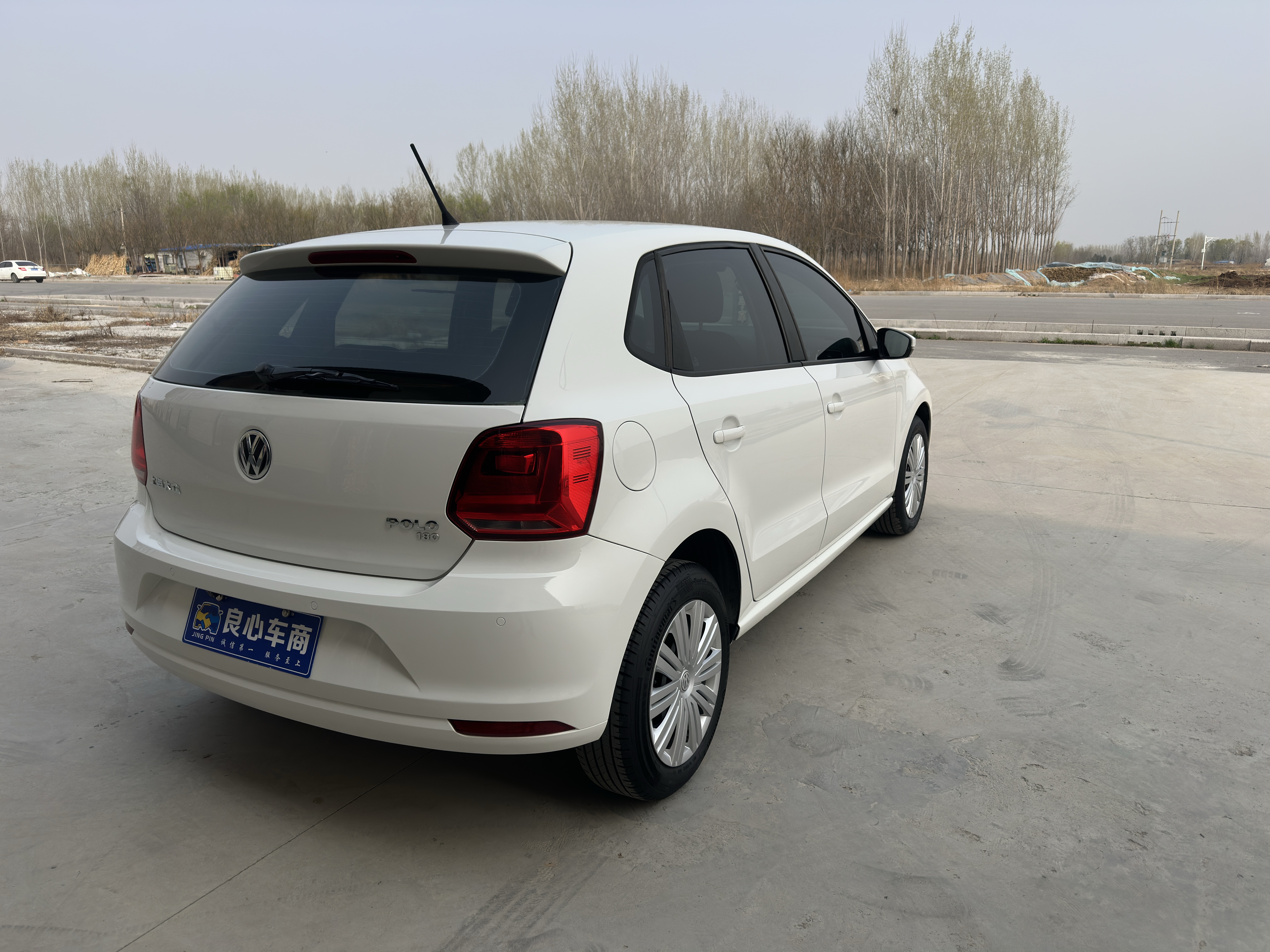 Polo 2016 immagine di auto #4