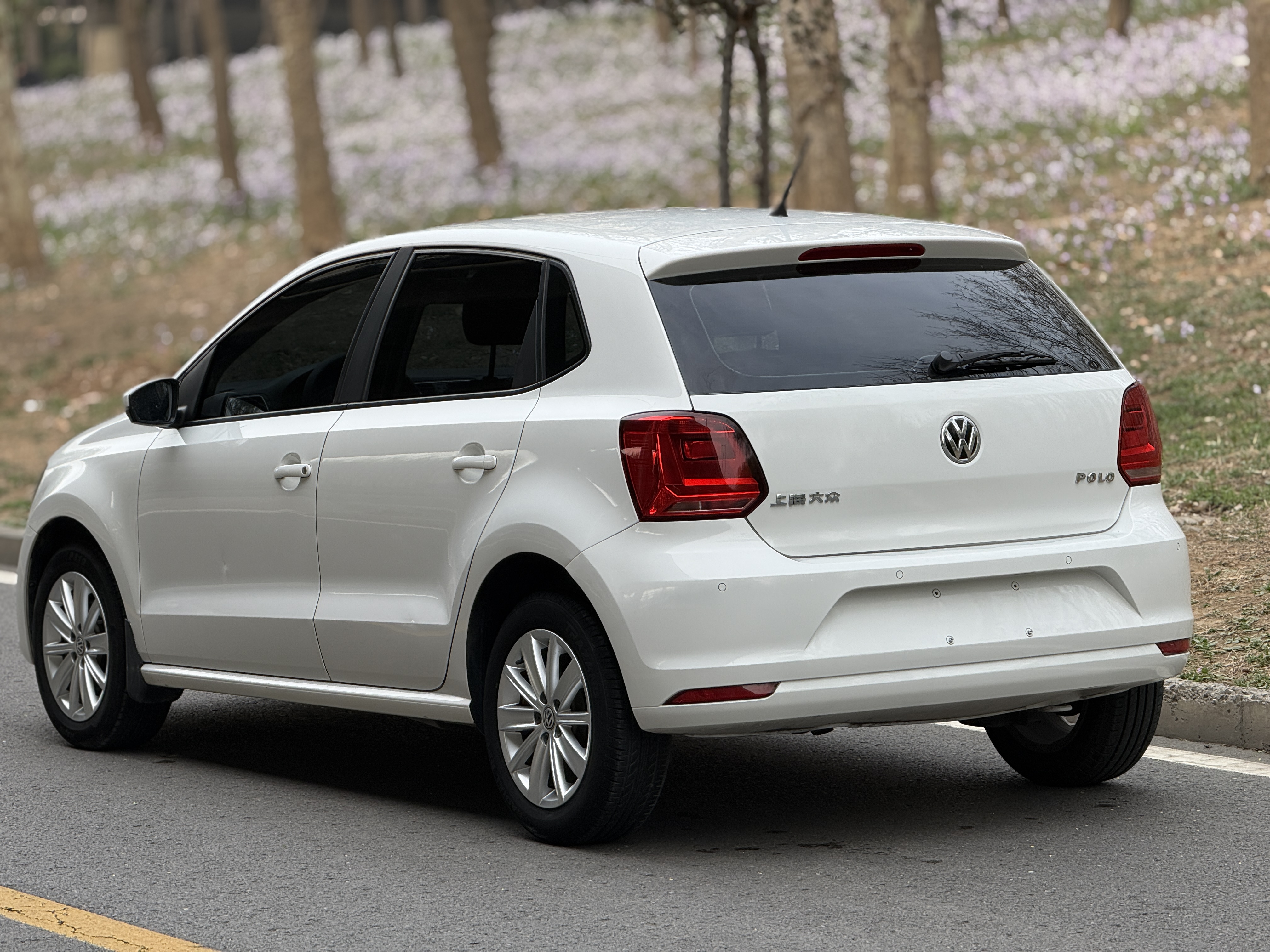 Polo 2016 car image #4