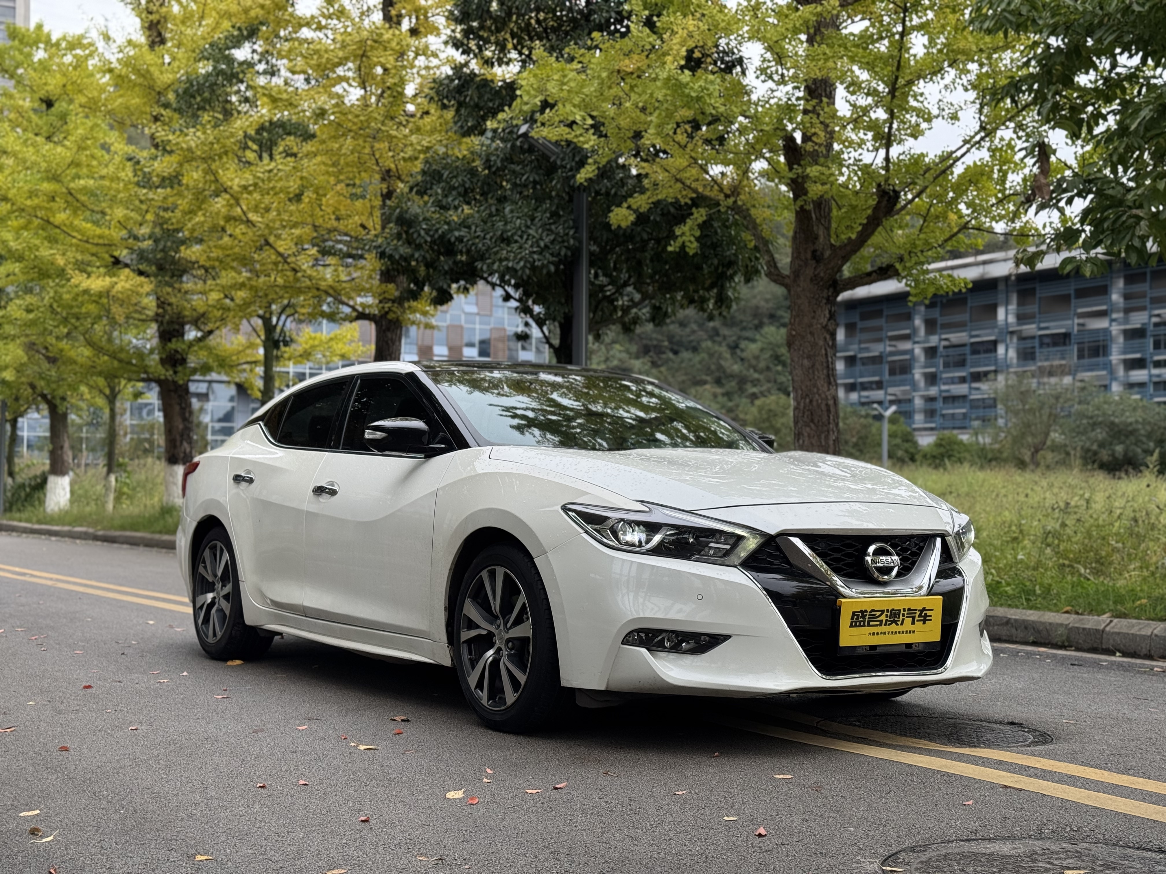 日产 西玛 2018 汽车图片 #4