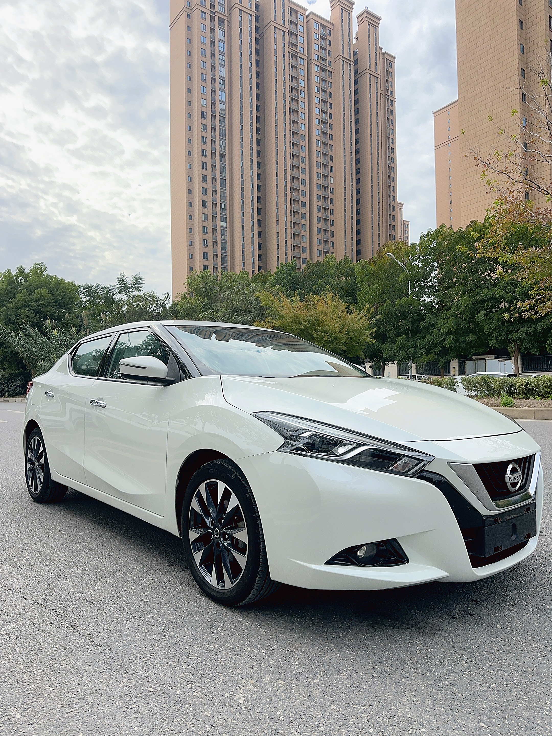 日产 蓝鸟 2017 汽车图片 #4