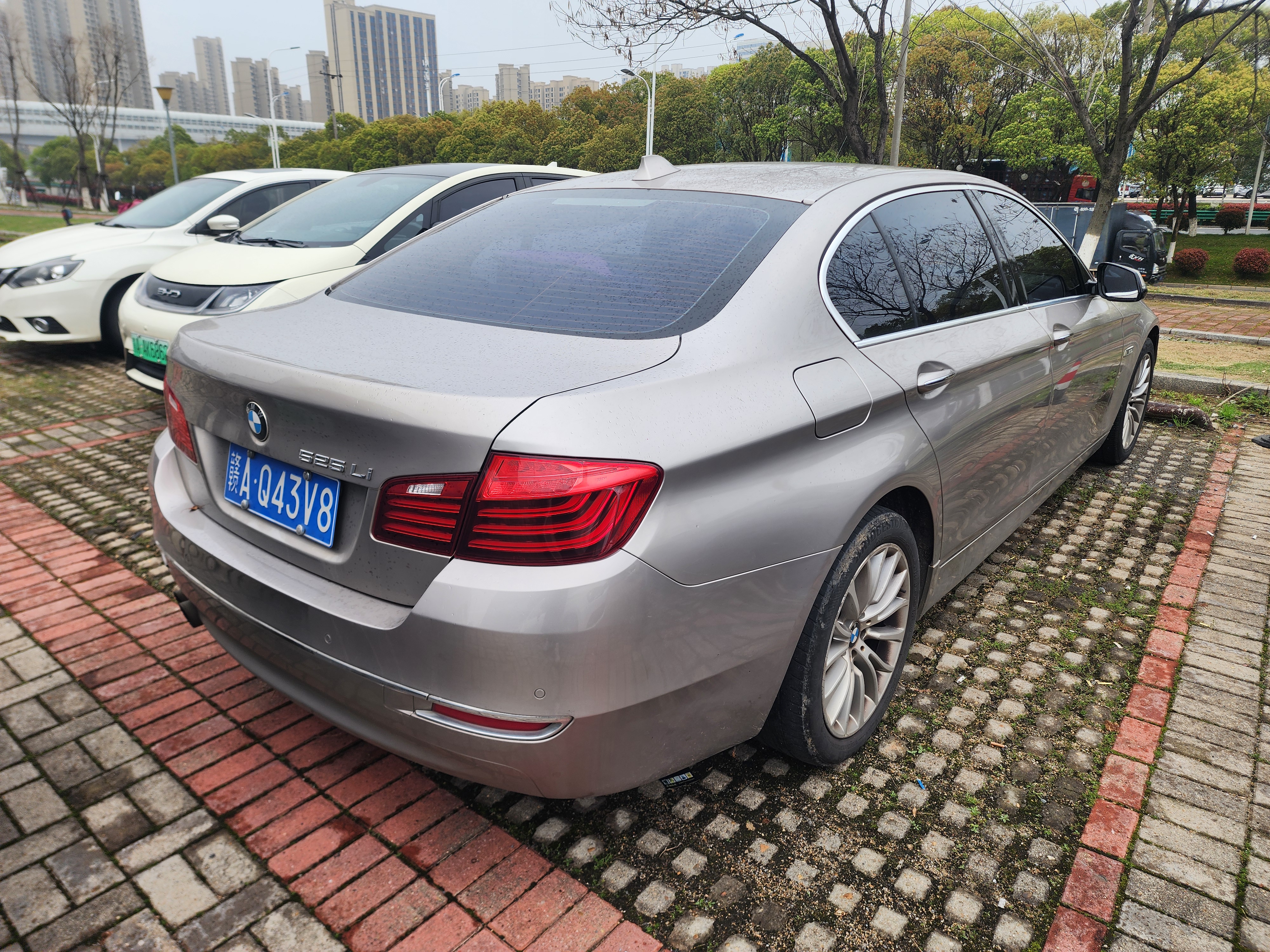 BMW 5 Series 2017 immagine di auto #4