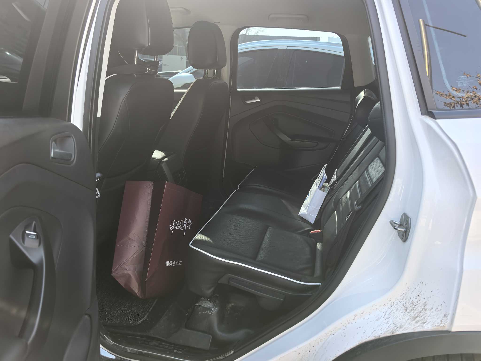 Ford Kuga 2017 car image #4