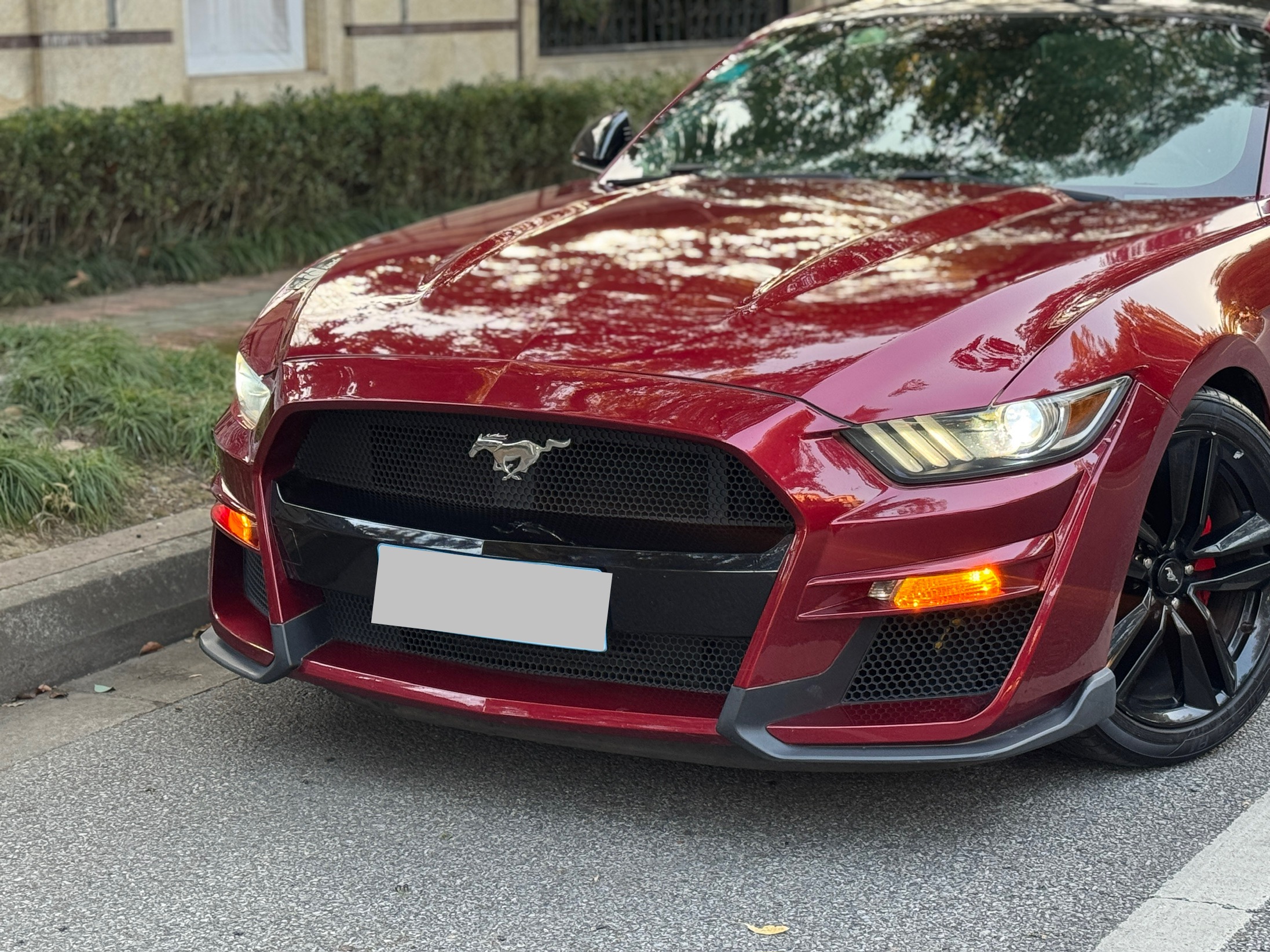 Ford Mustang 2017 car image #4