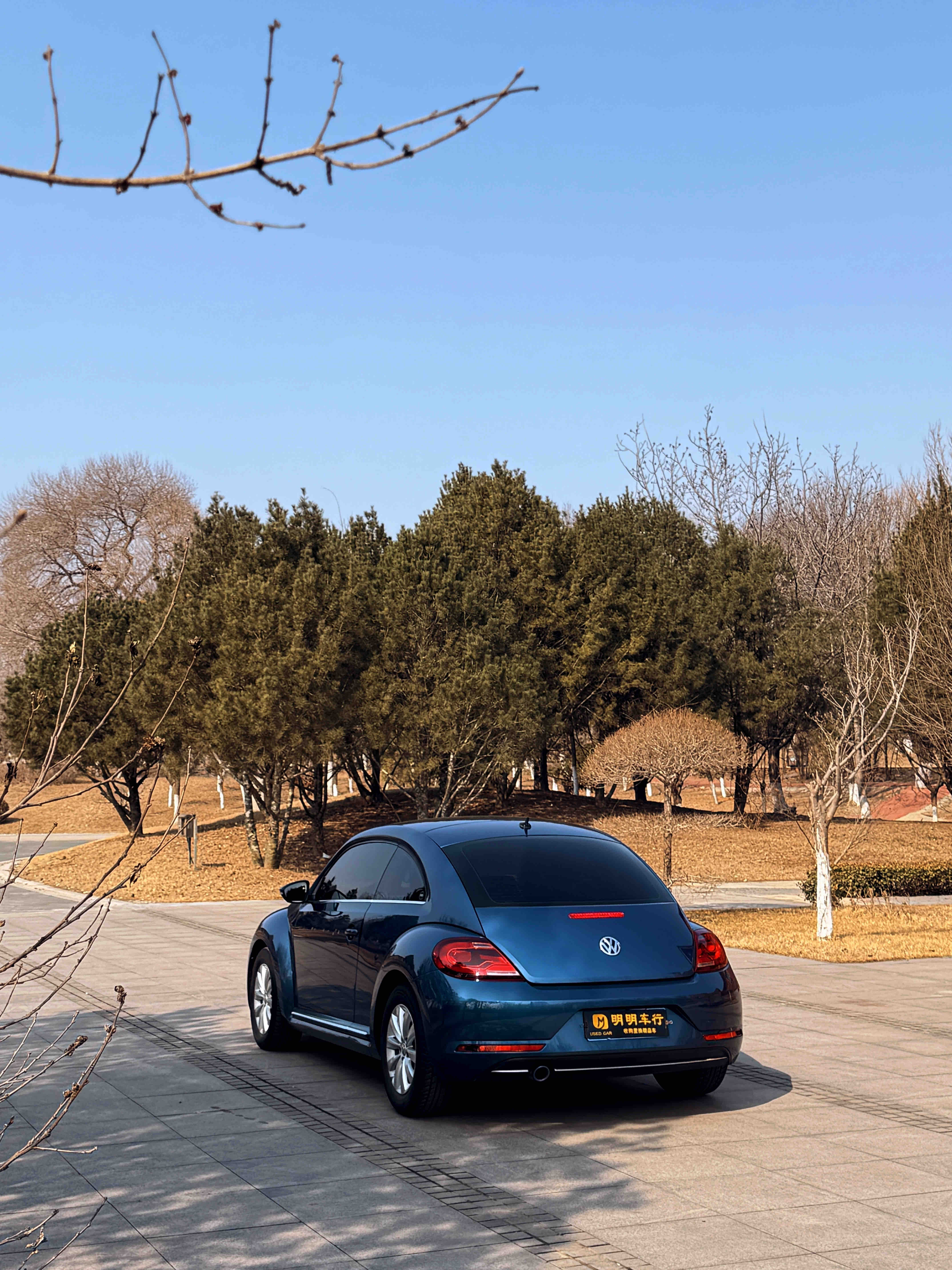 Volkswagen Beetle 2018 immagine di auto #4