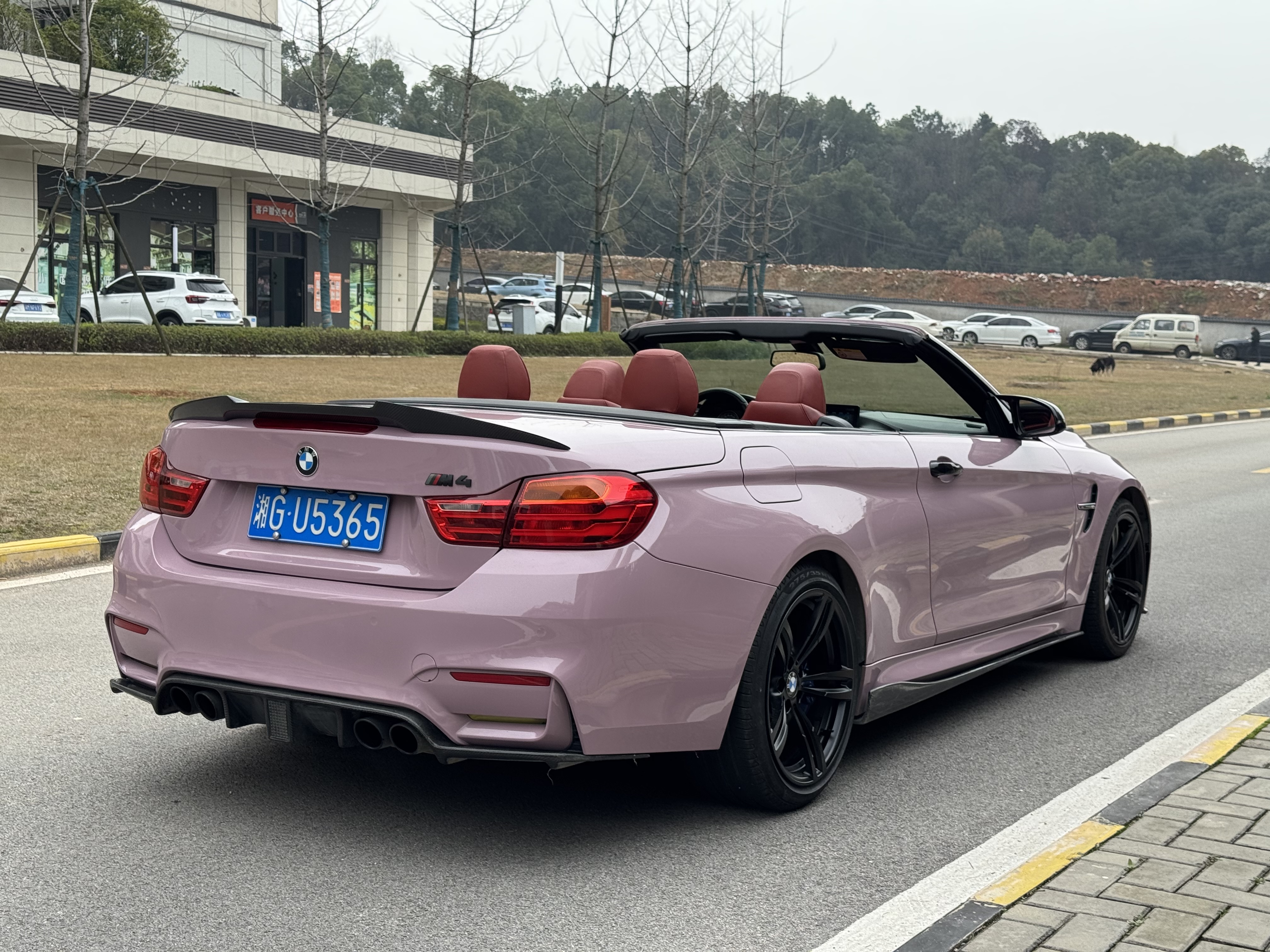 BMW M4 2017 imagem de carro #4