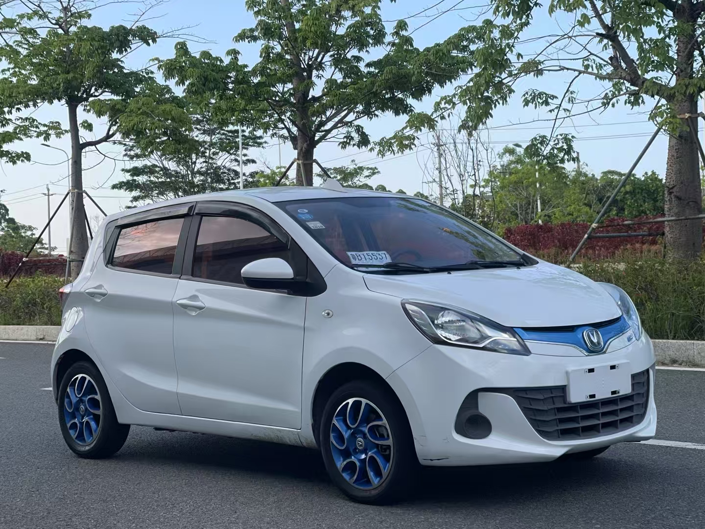 Changan BenBen EV 2018 car image #4