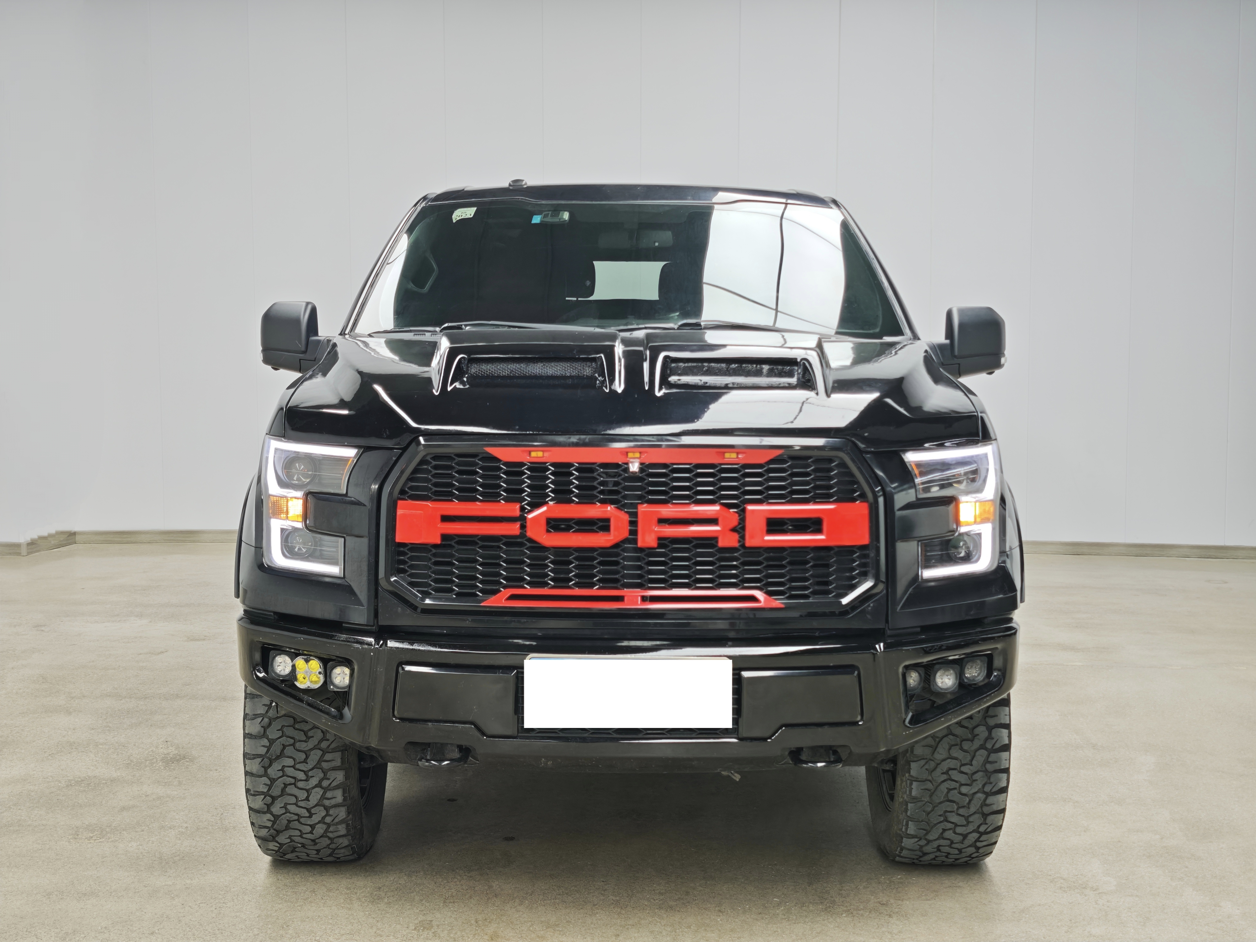 Ford F-150 Raptor 2017 car image #4
