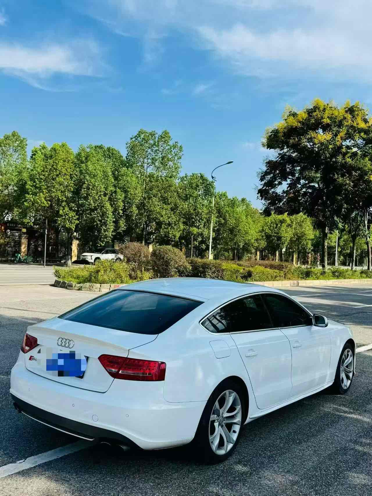 Audi S5 2012 car image #4