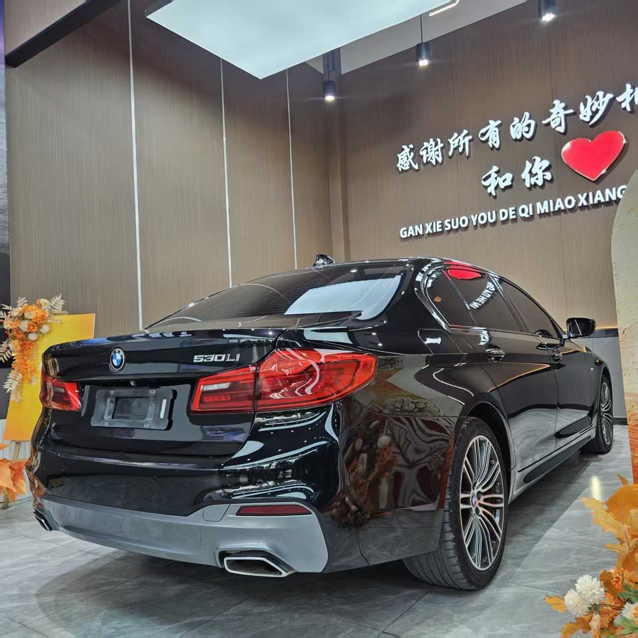 BMW 5 Series 2018 immagine di auto #4