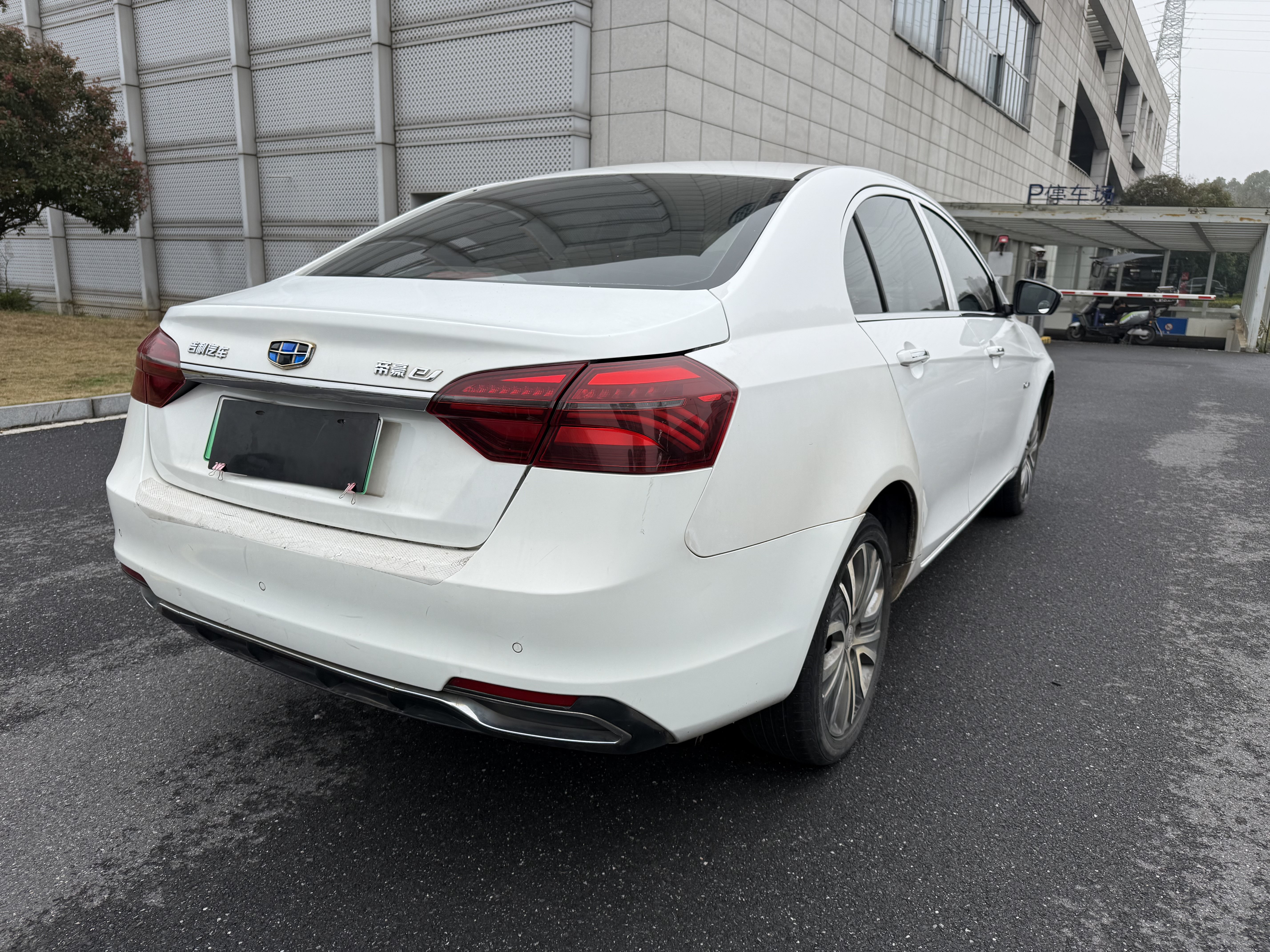 Emgrand New Energy 2019 car image #4