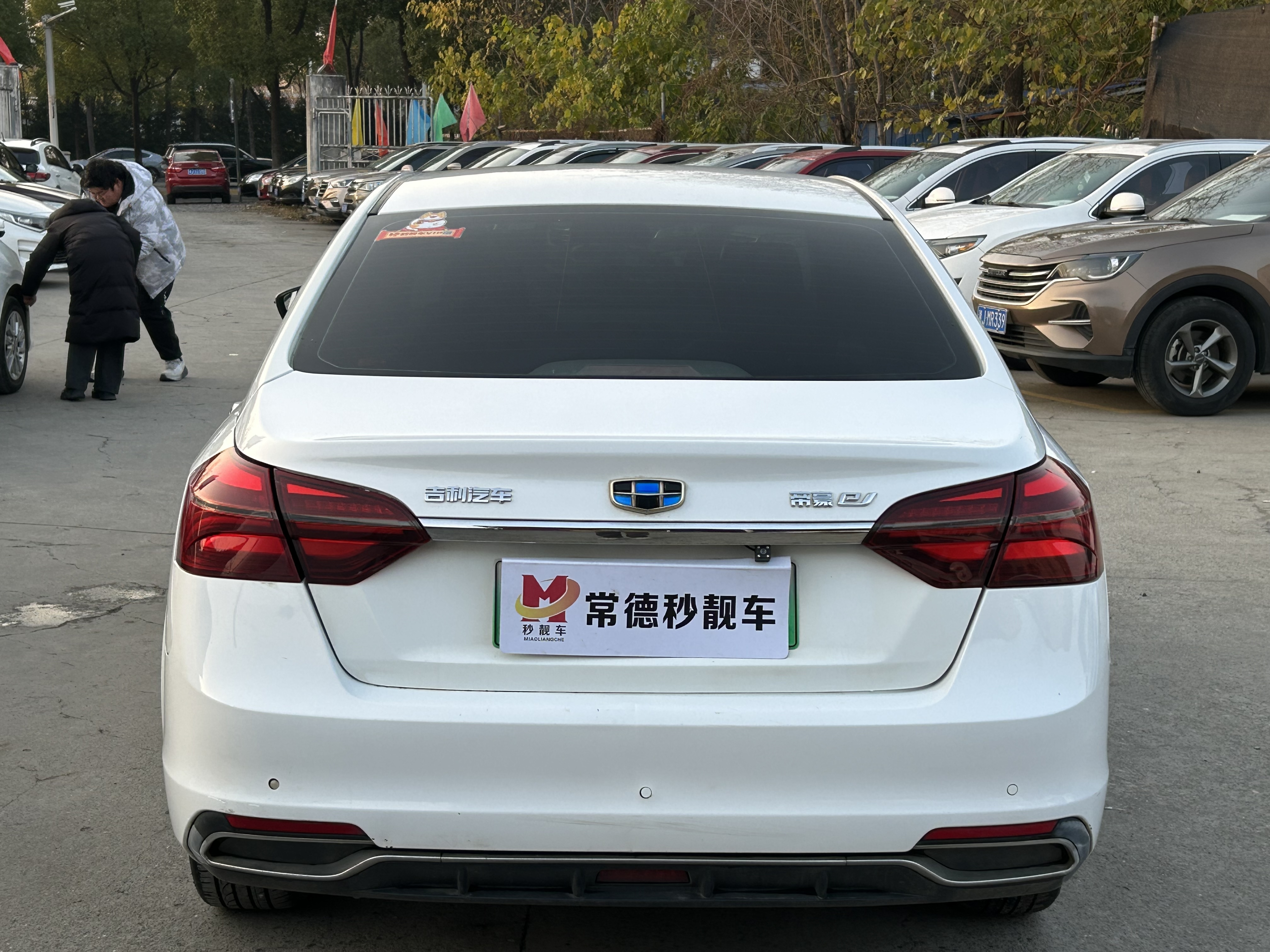 GEELY Emgrand New Energy 2019 car image #4