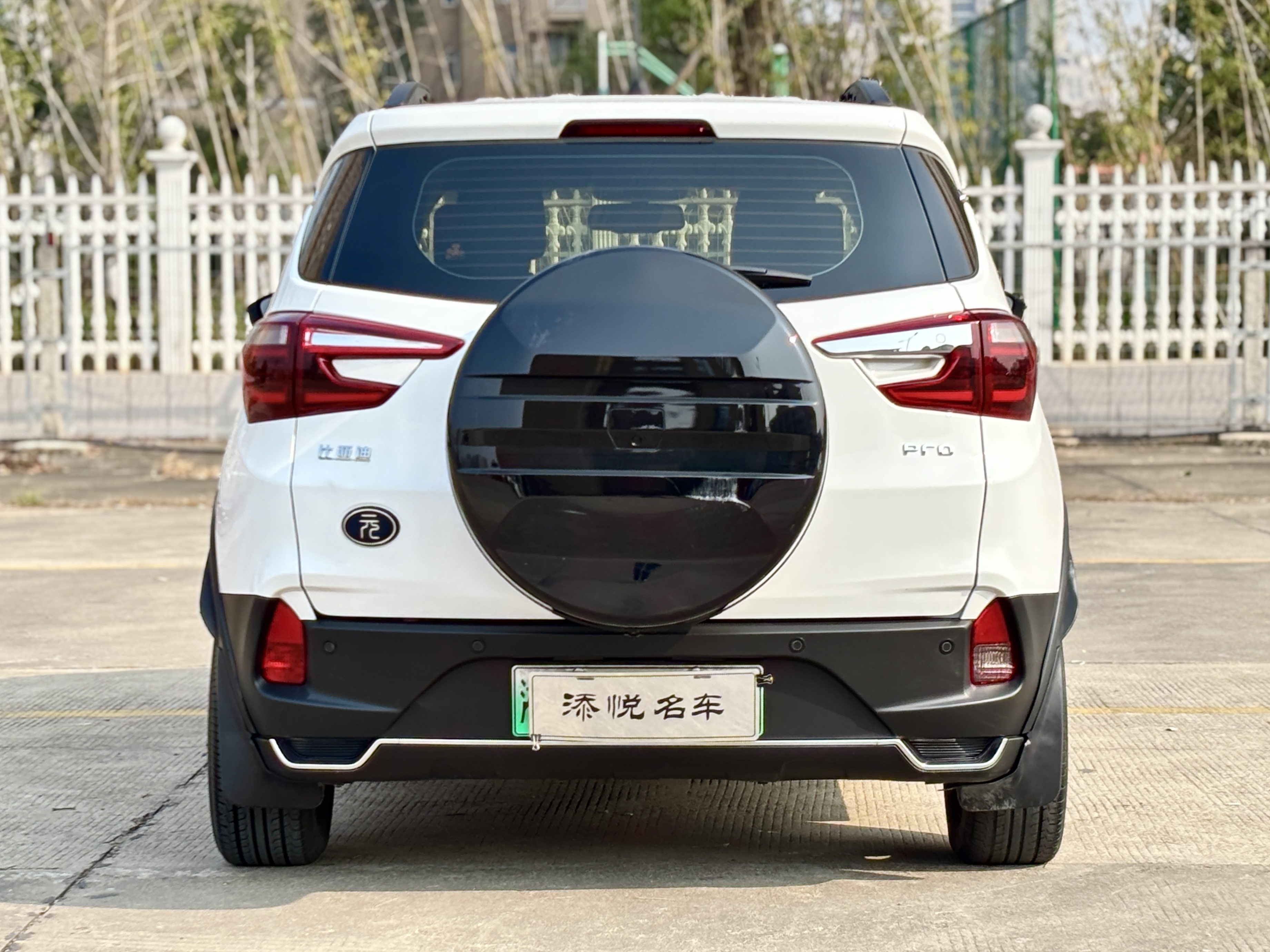 BYD Yuan New Energy 2018 car image #4