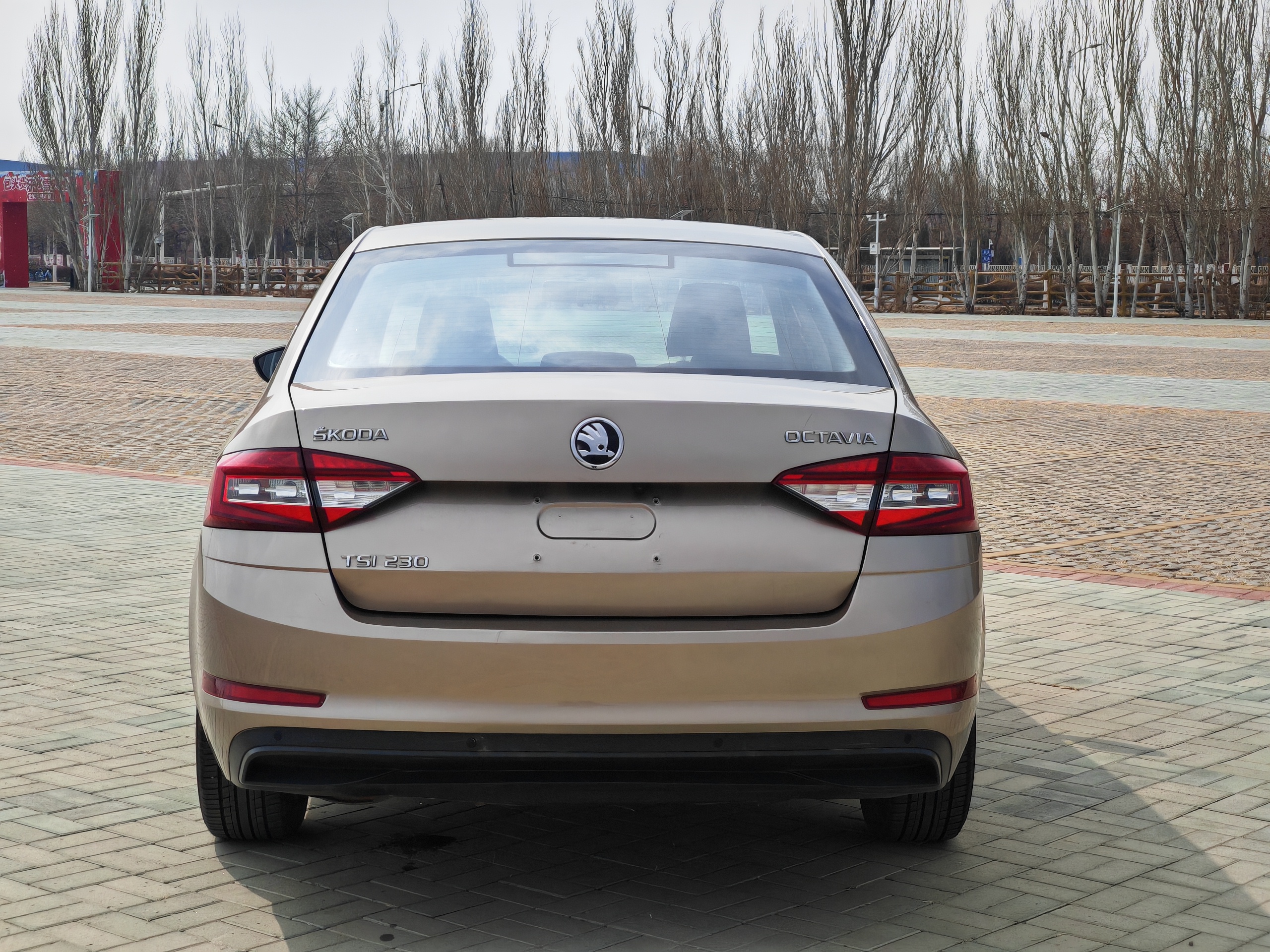 Skoda Octavia 2019 car image #4