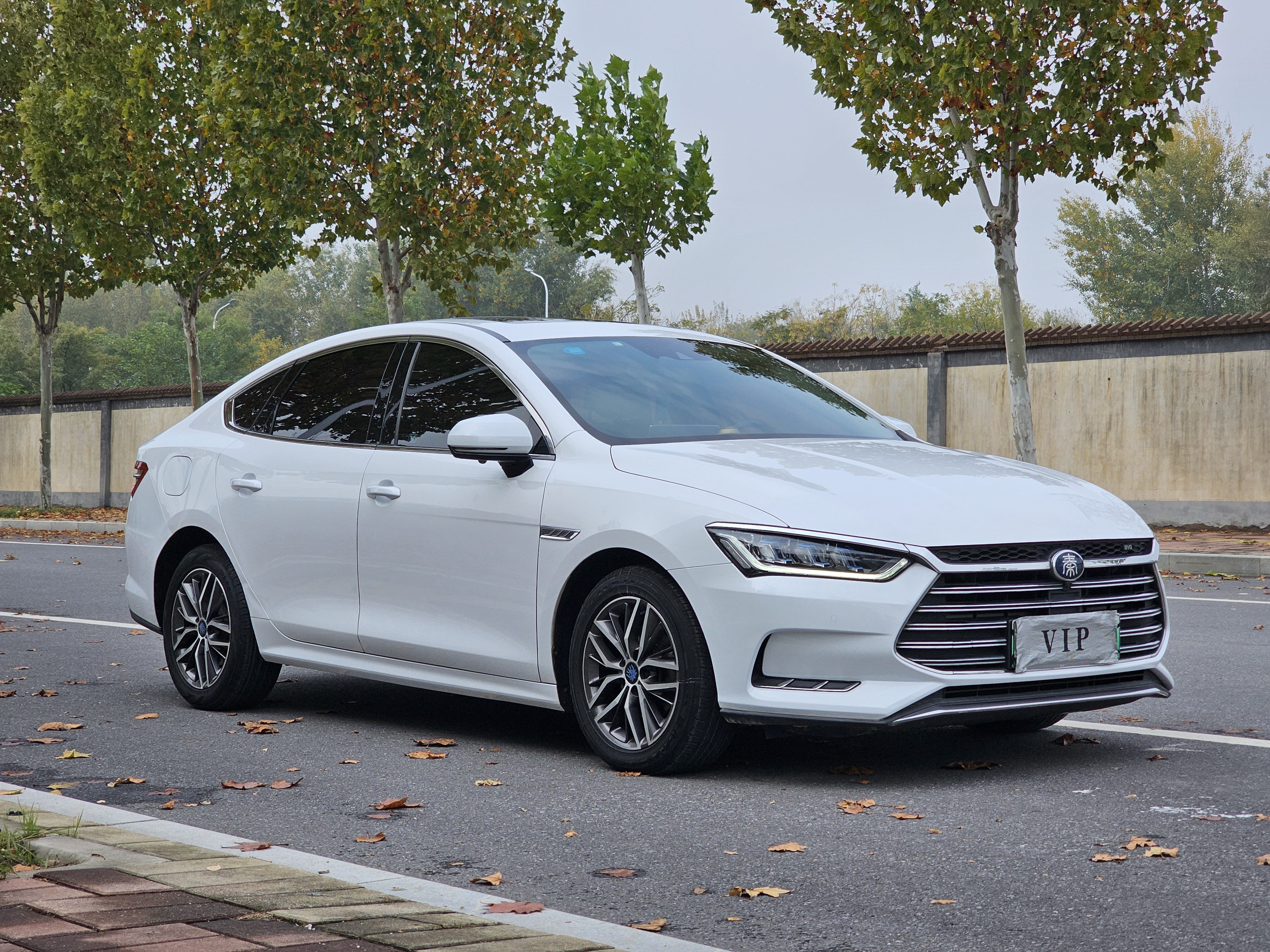 BYD Qin Pro New Energy 2019 #4 BYD Qin Pro New Energy 2019 car image #4