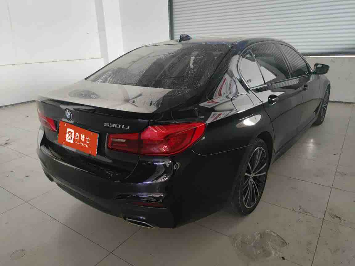 BMW 5 Series 2019 #4 BMW 5 Series 2019 car image #4