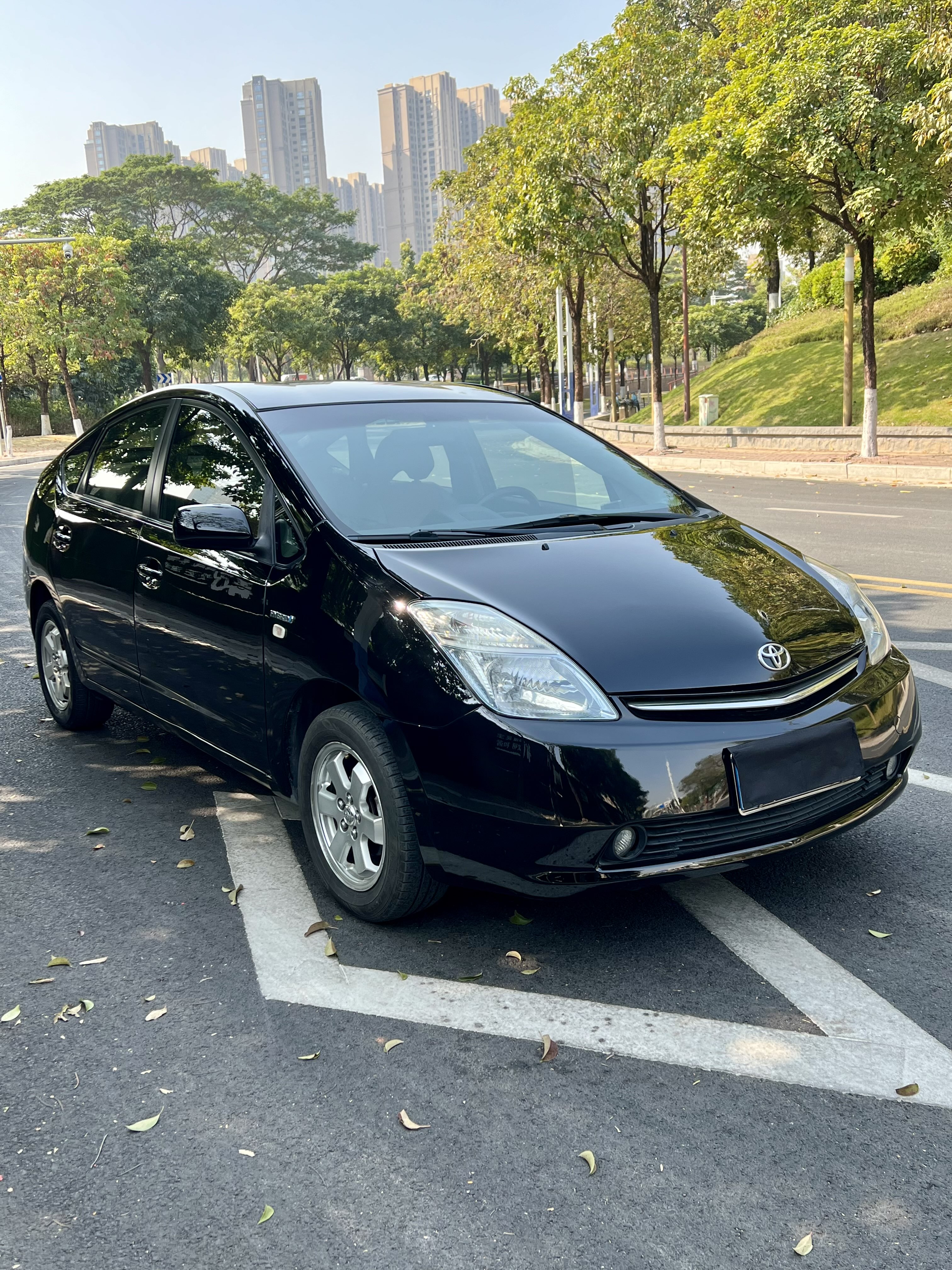 Toyota Prius 2008 car image #4