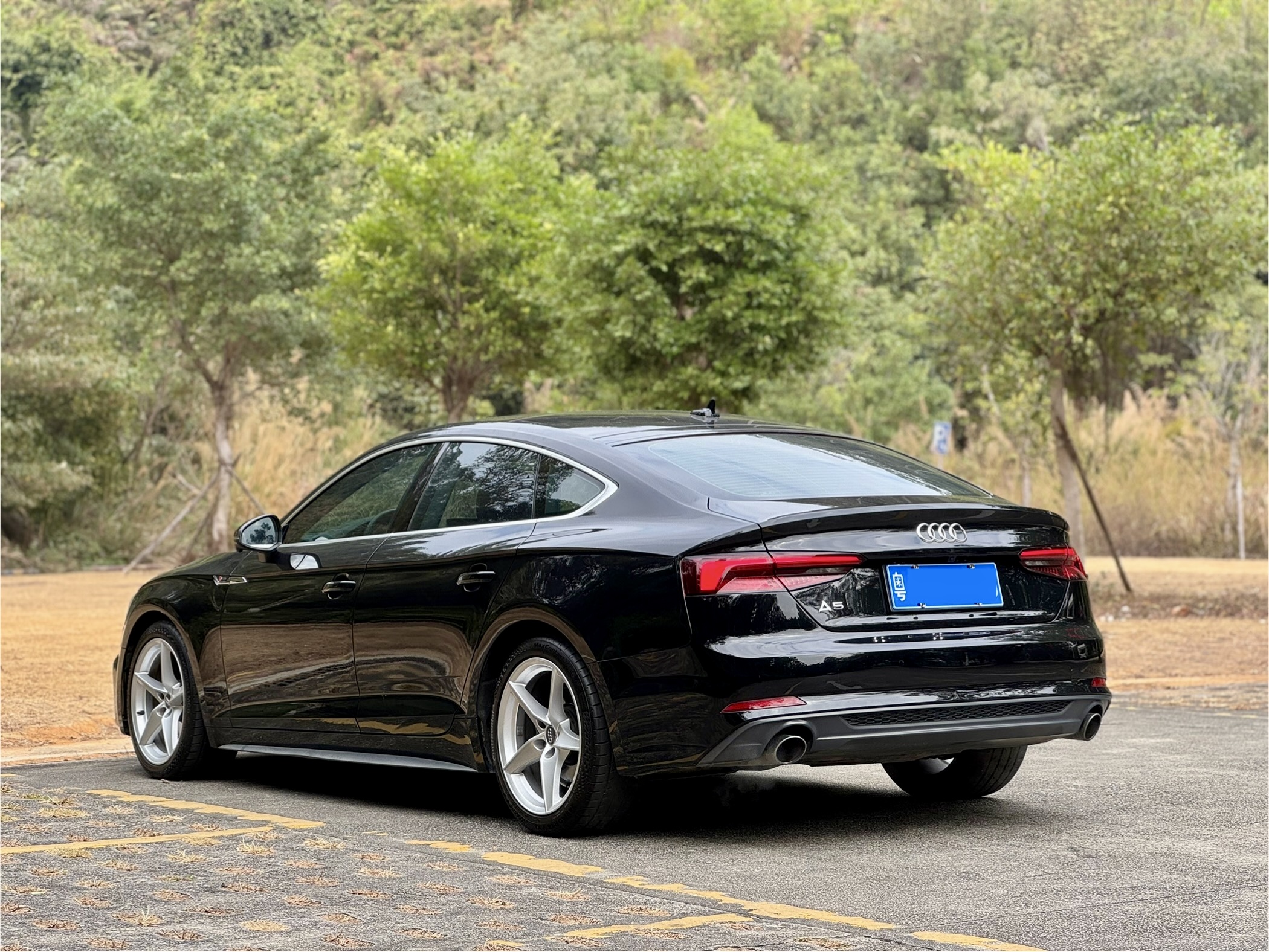 Audi A5 (Imported) 2019 car image #4
