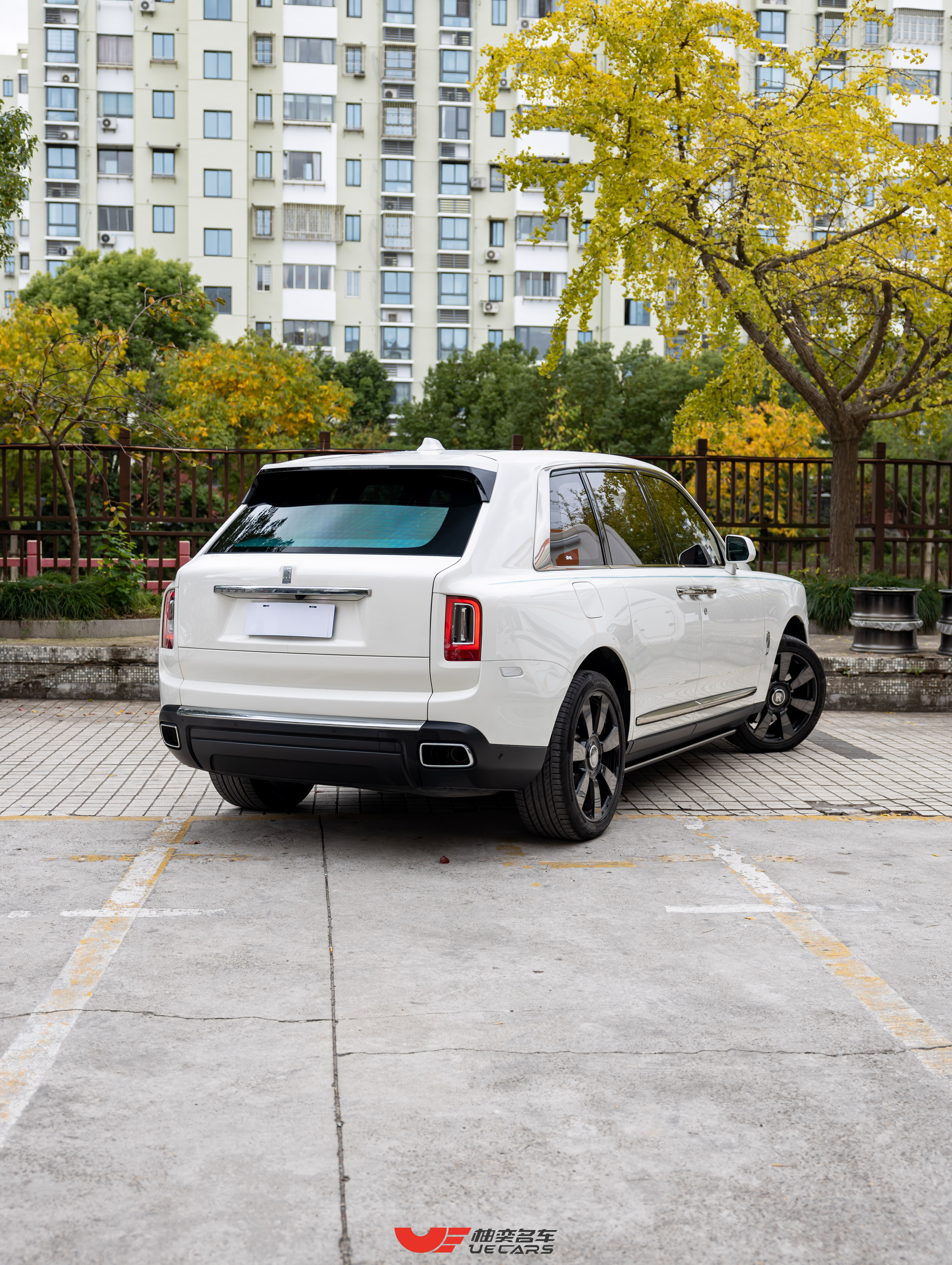 Rolls-Royce Cullinan 2021 immagine di auto #4