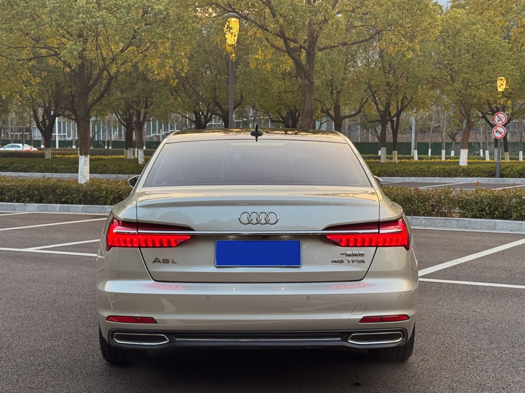 Audi A6L 2019 car image #4