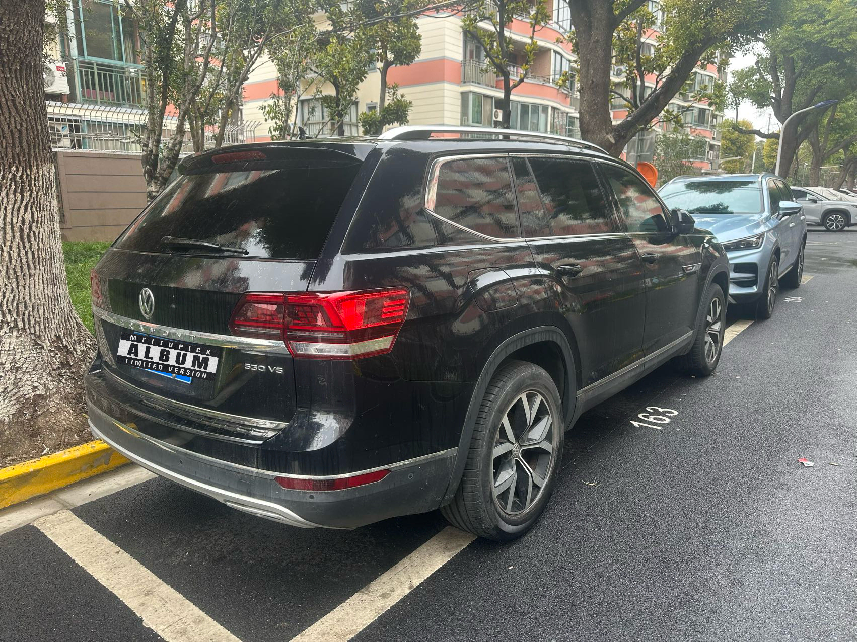 Volkswagen Teramont 2019 car image #4