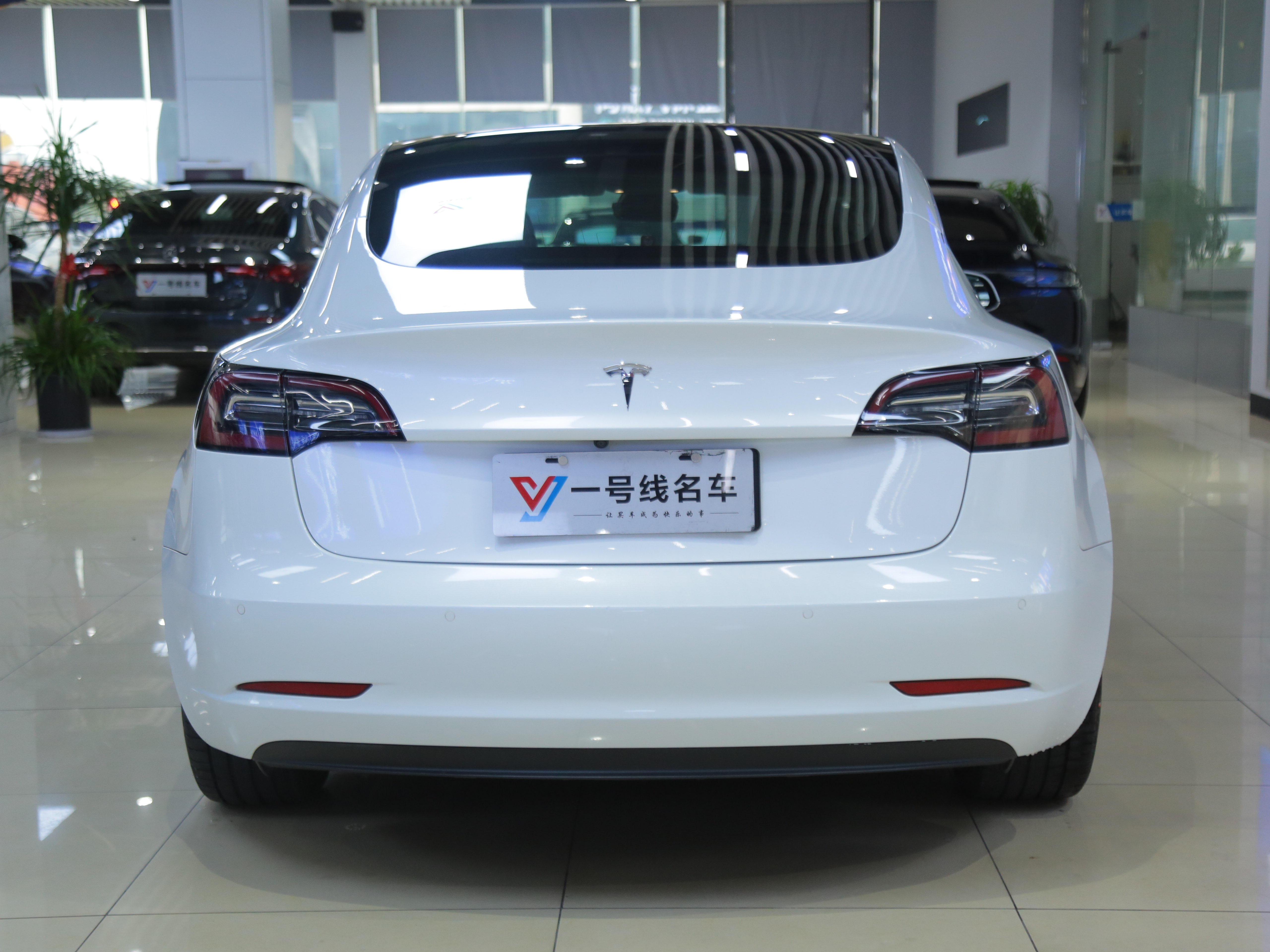 特斯拉 Model 3(进口) 2020 汽车图片 #4