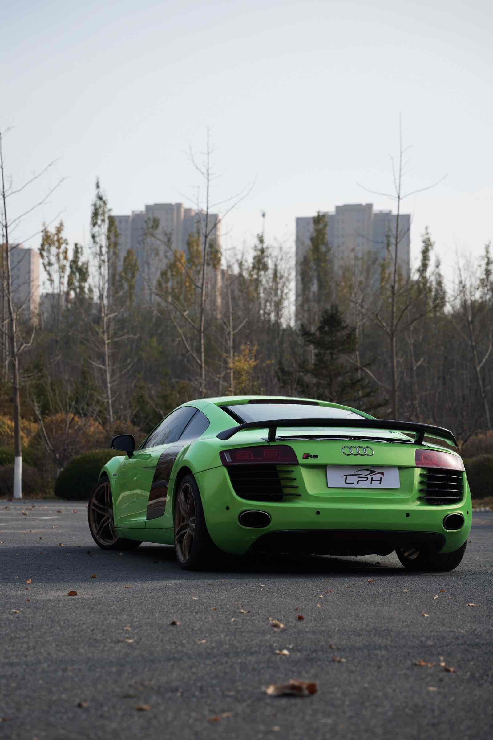 Audi R8 2008 immagine di auto #4