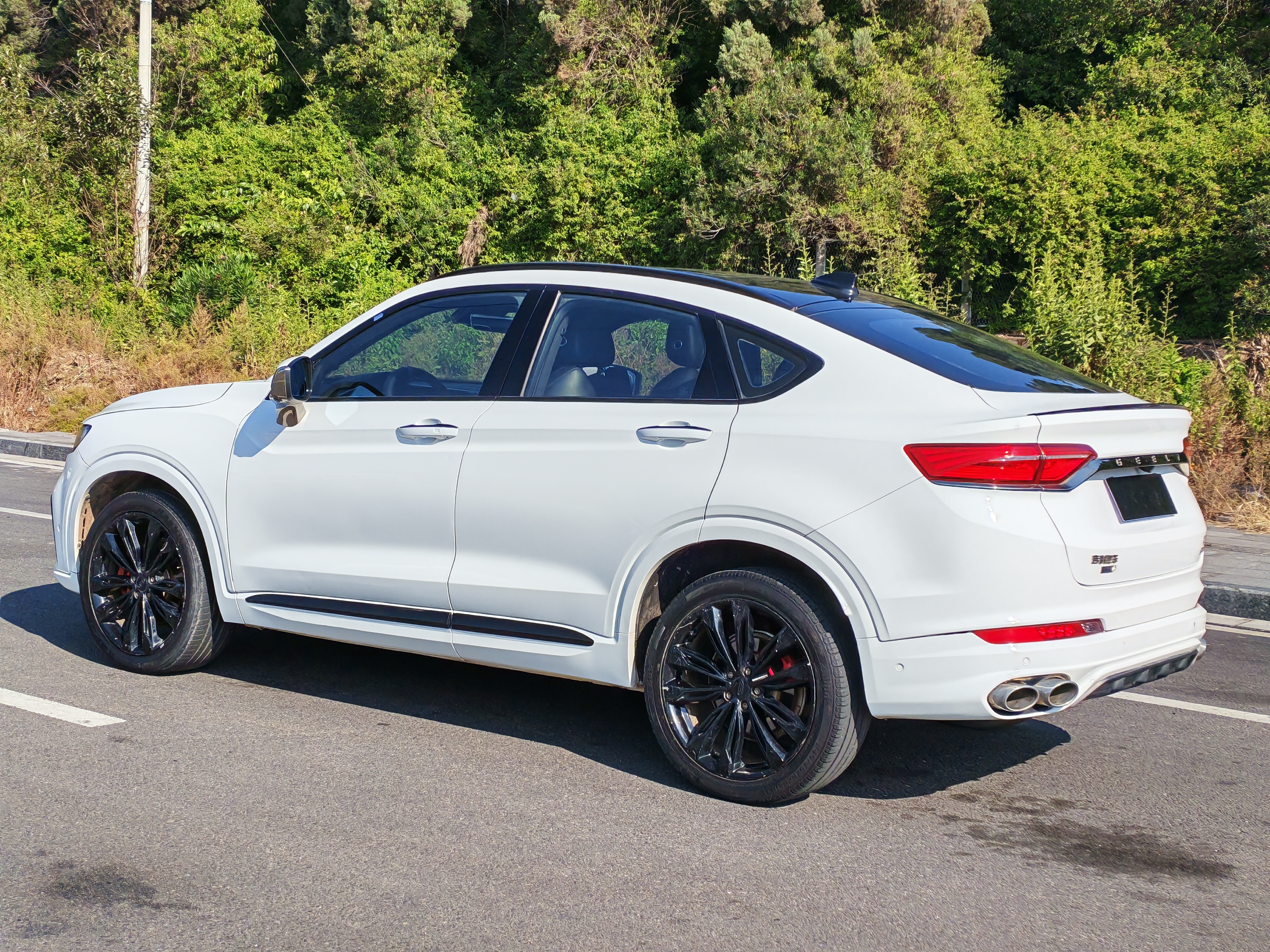 GEELY Tugella 2020 car image #4