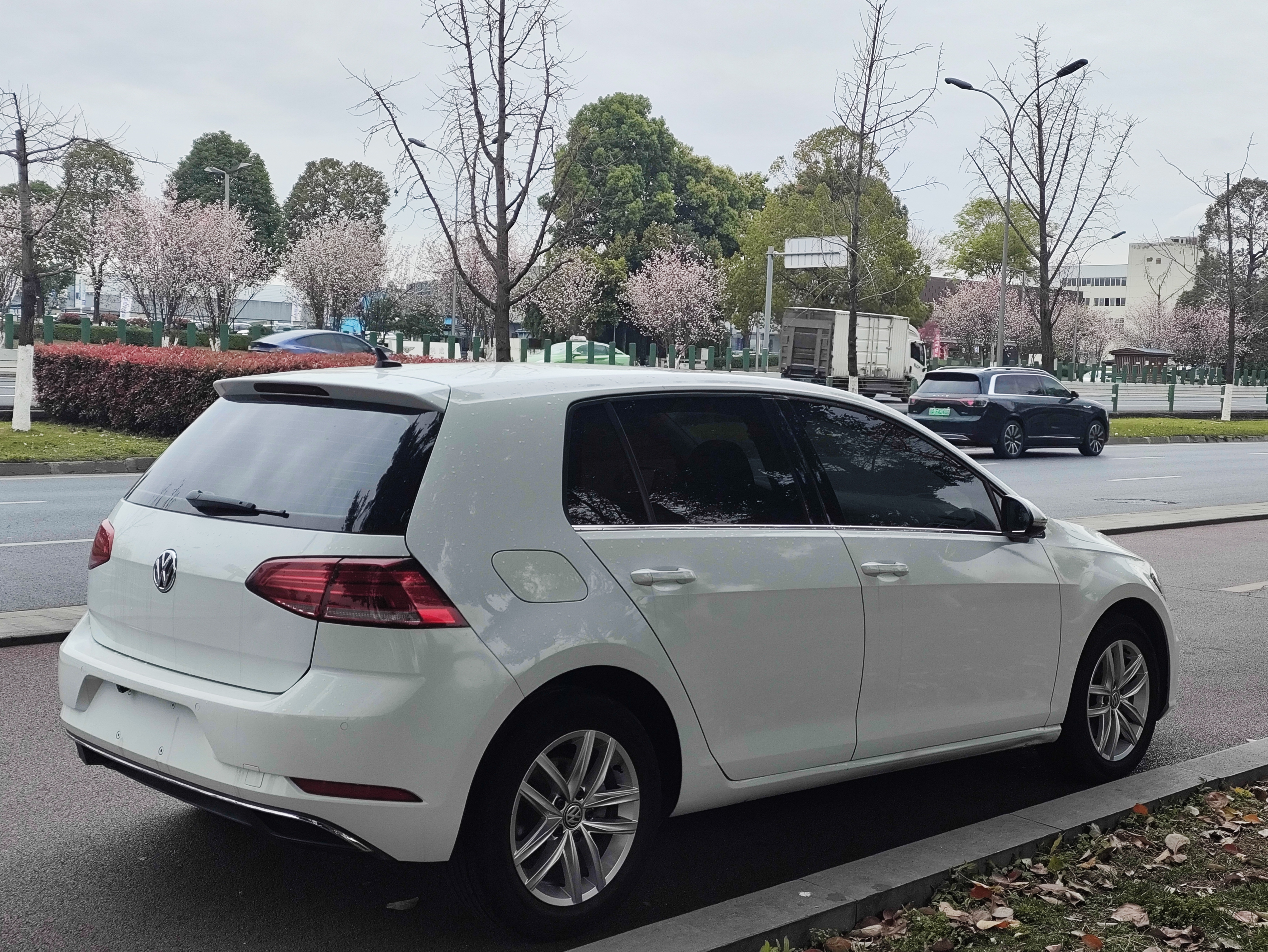 Volkswagen Golf 2019 car image #4