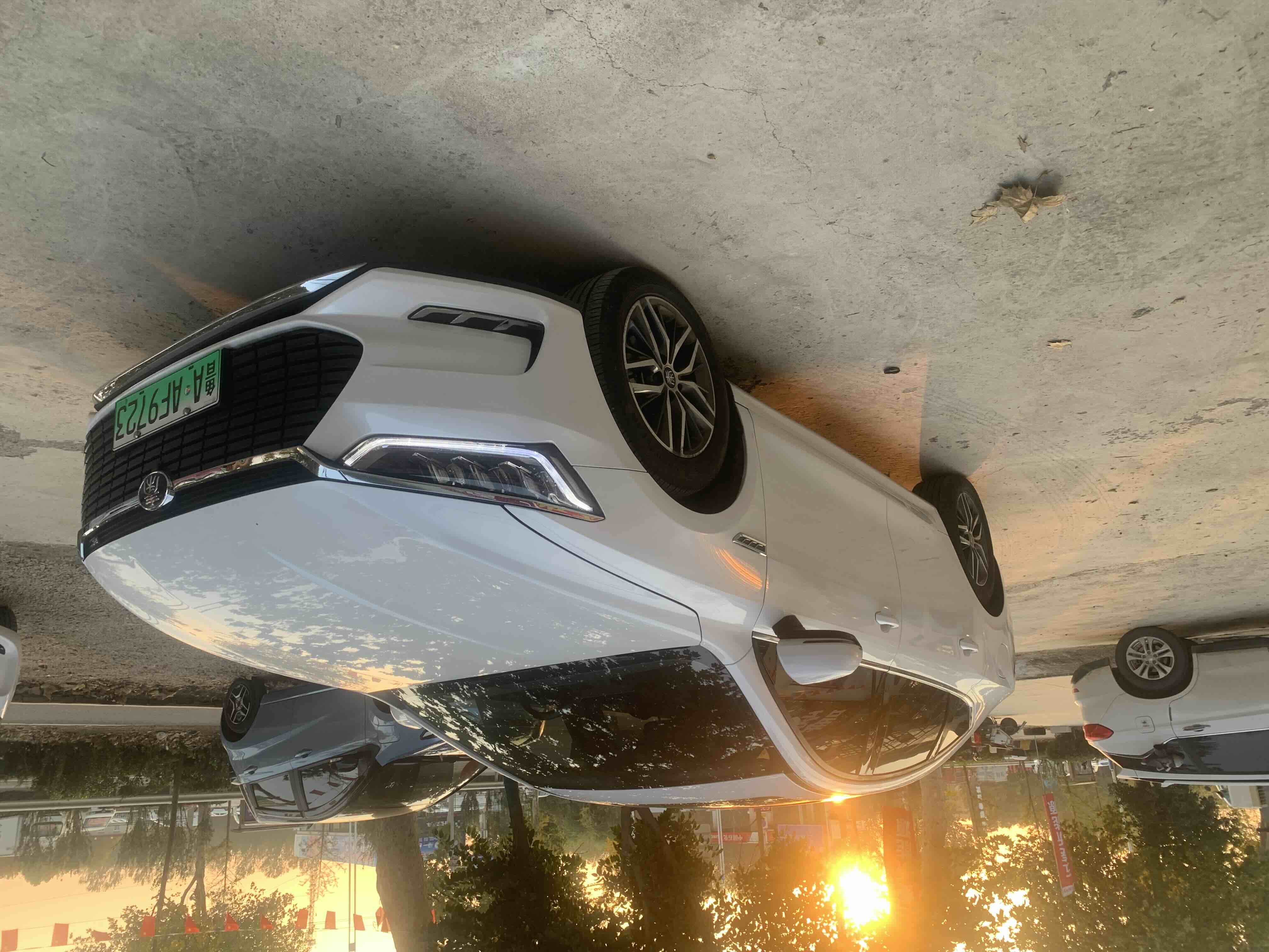 BYD Qin Pro New Energy 2020 #4 BYD Qin Pro New Energy 2020 immagine di auto #4