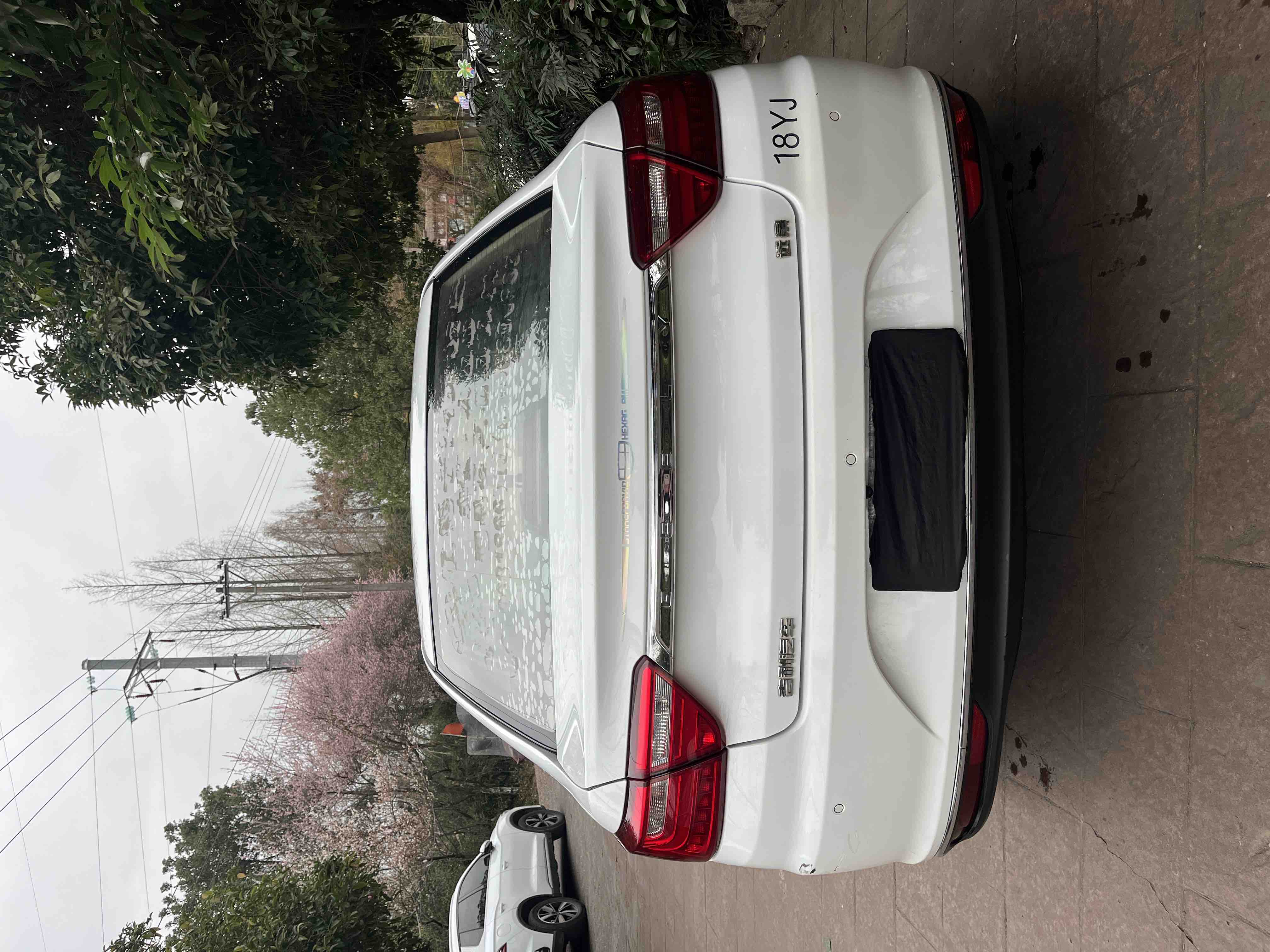 2019 #4 2019 car image #4