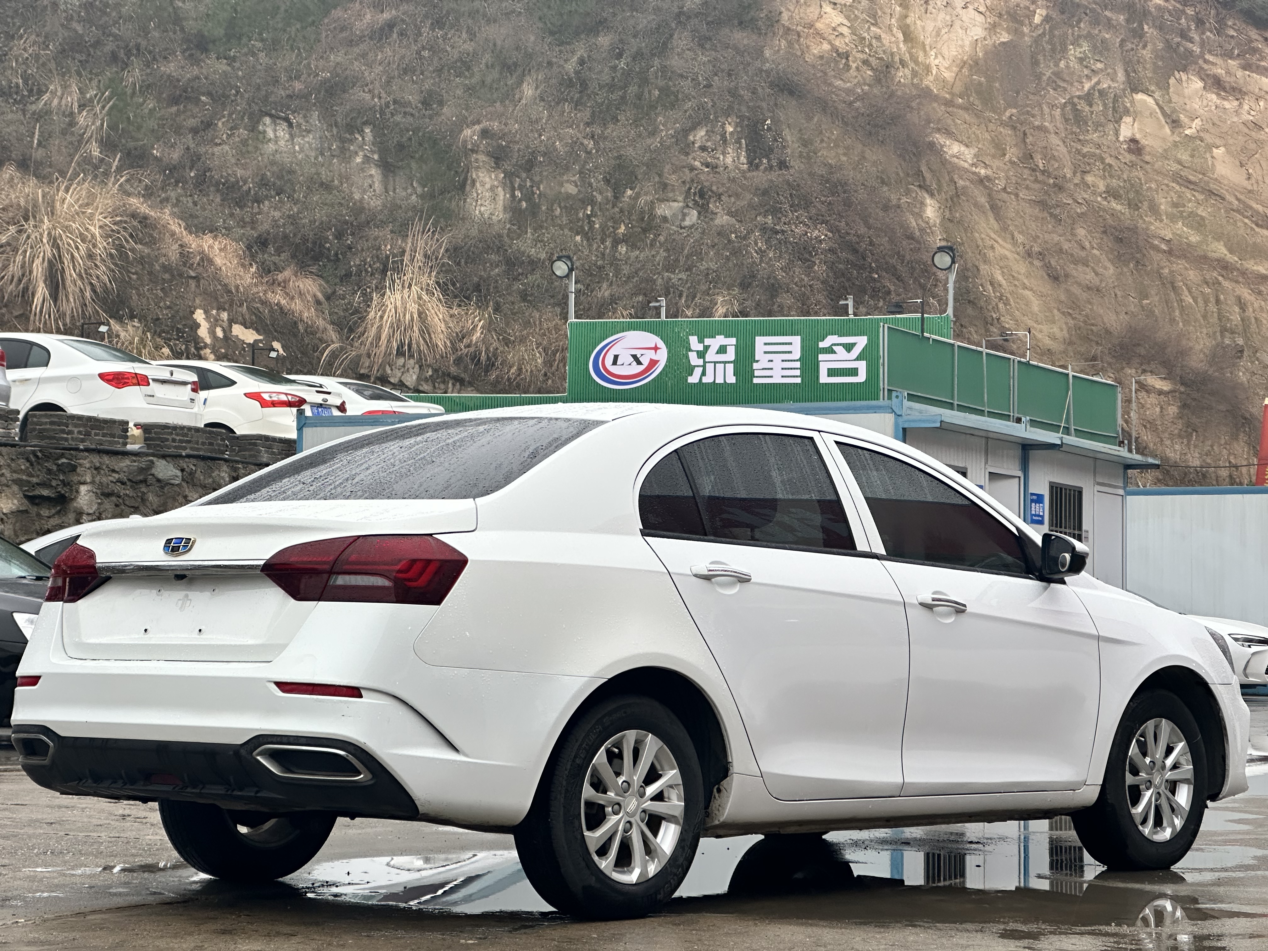 Emgrand 2021 car image #4