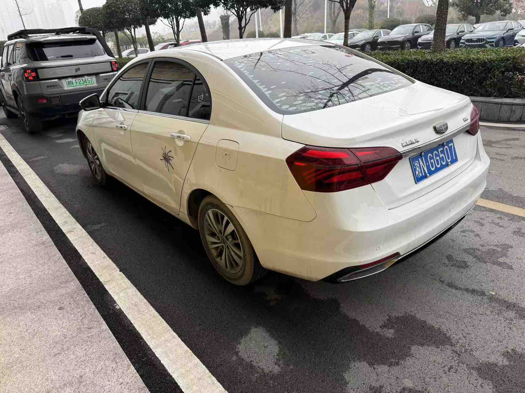 Emgrand 2019 #4 Emgrand 2019 car image #4