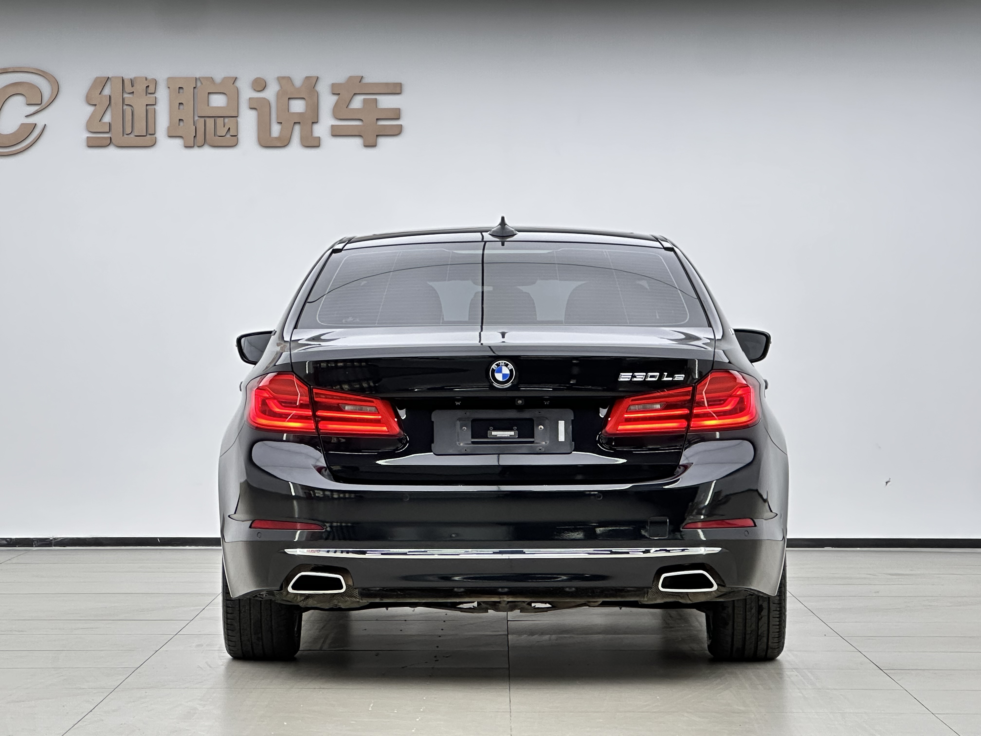 BMW 5 Series New Energy 2019 car image #4