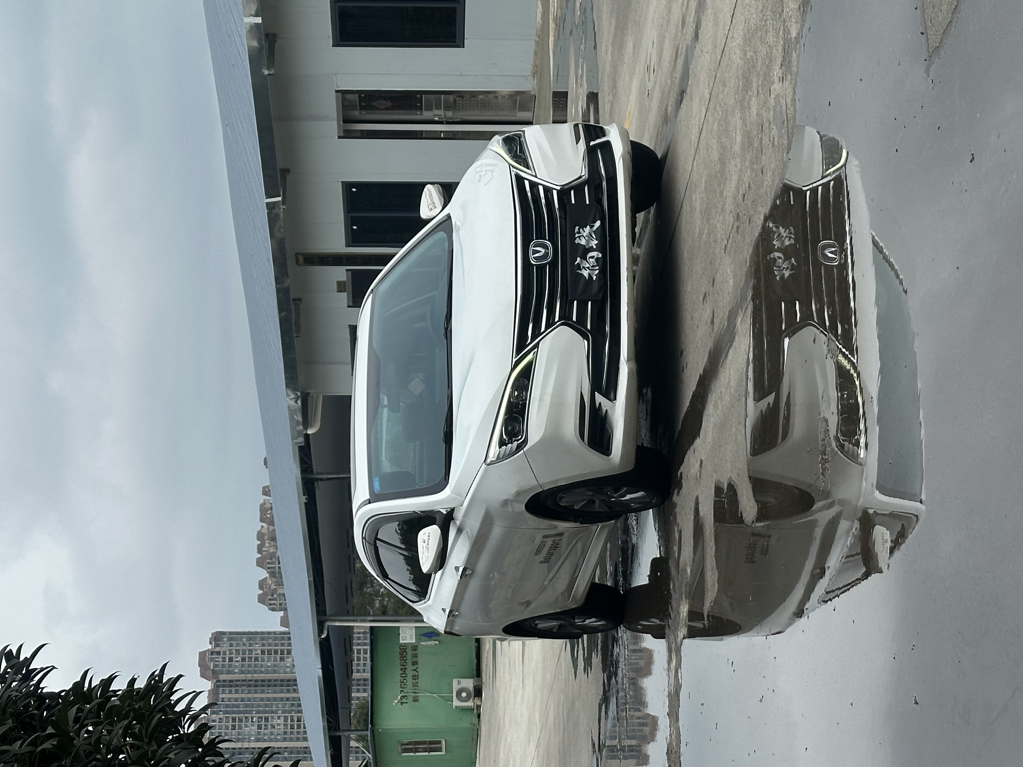 Changan Eado DT 2019 car image #4