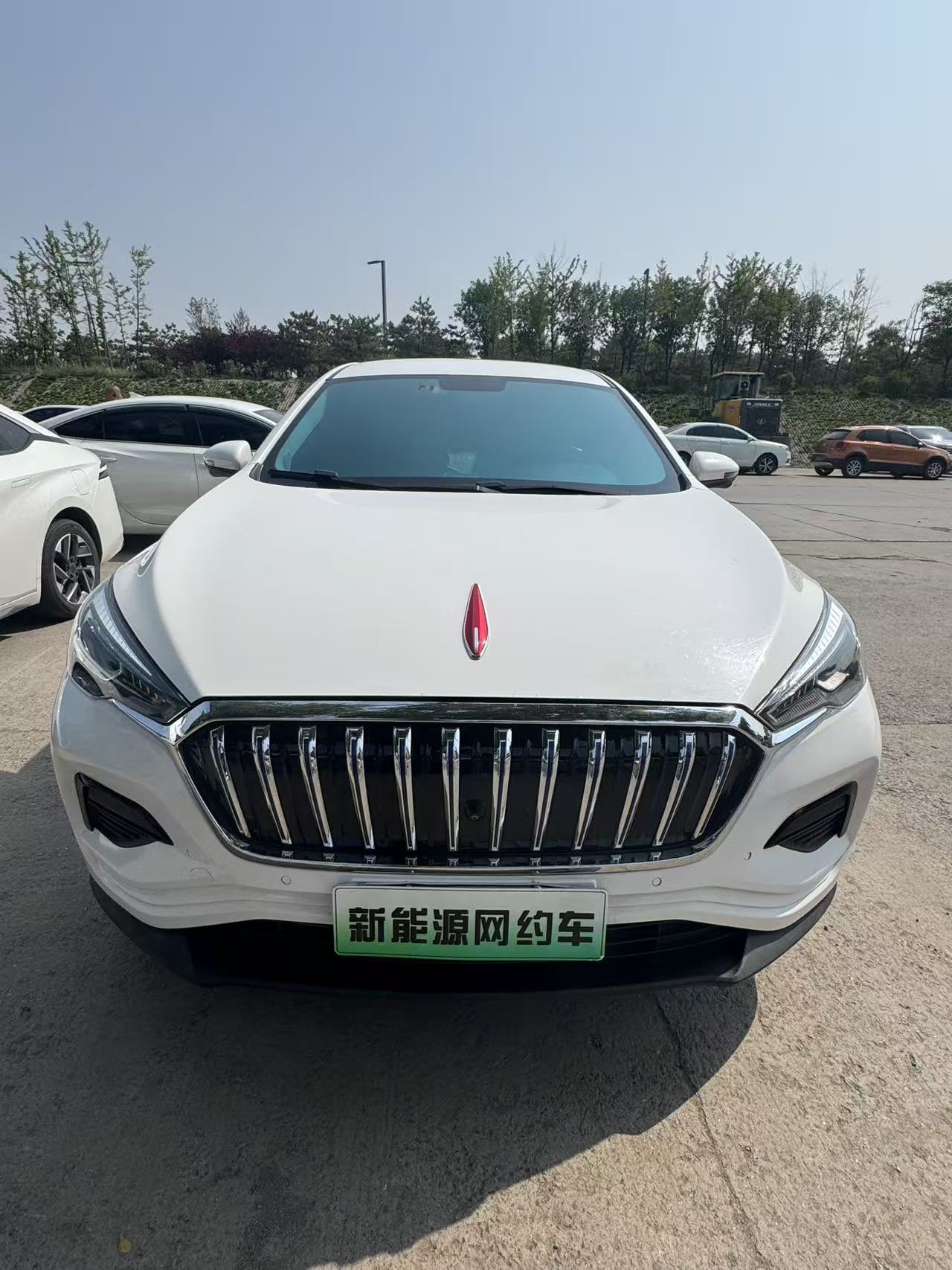 HongQi E-HS3 2020 car image #4