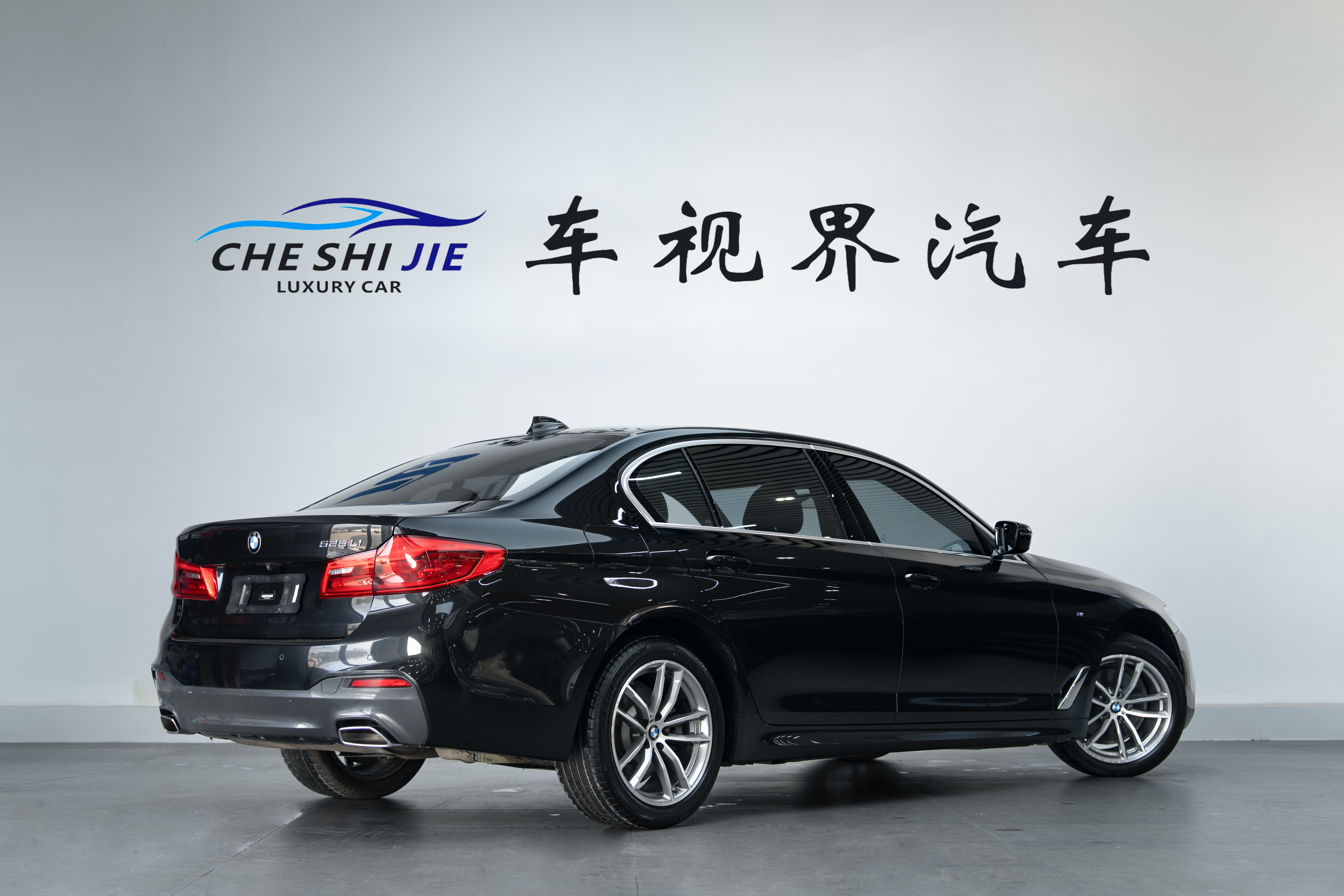 BMW 5 Series 2020 #4 BMW 5 Series 2020 car image #4