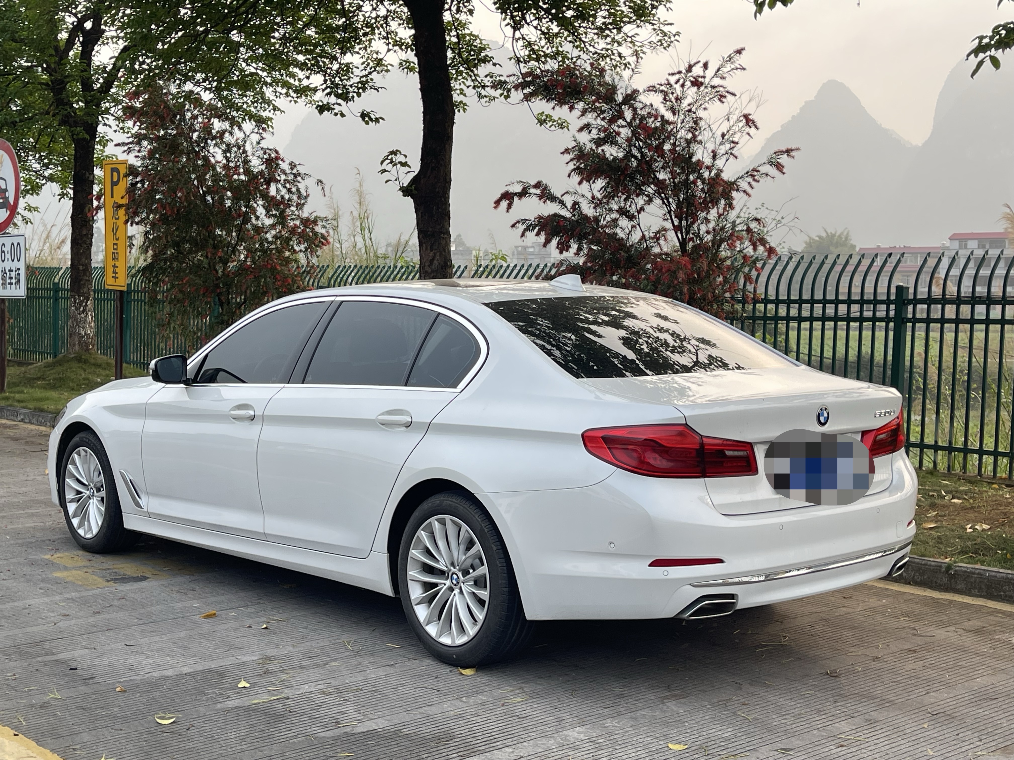 BMW 5 Series 2020 car image #4