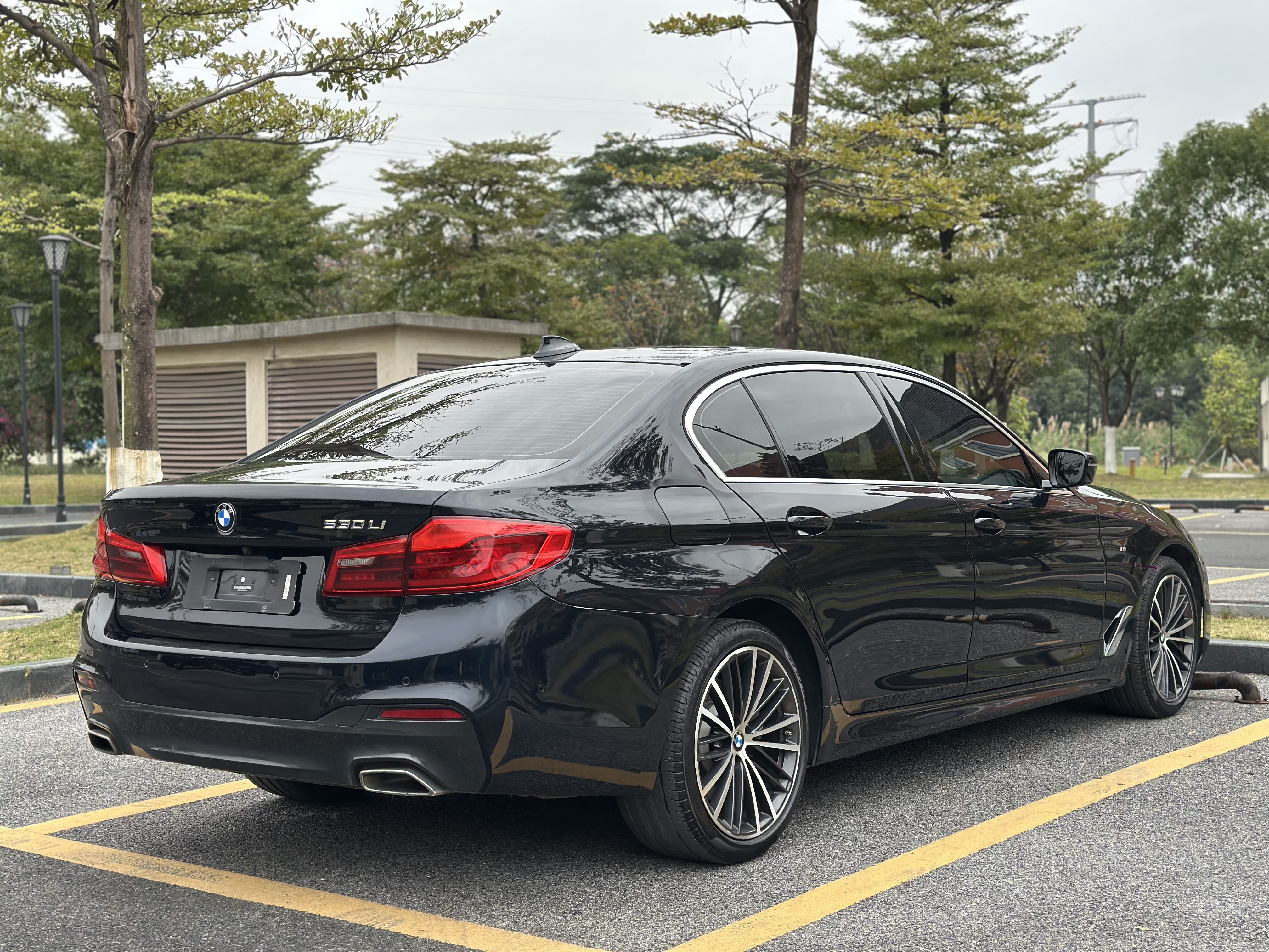 BMW 5 Series 2020 #4 BMW 5 Series 2020 car image #4