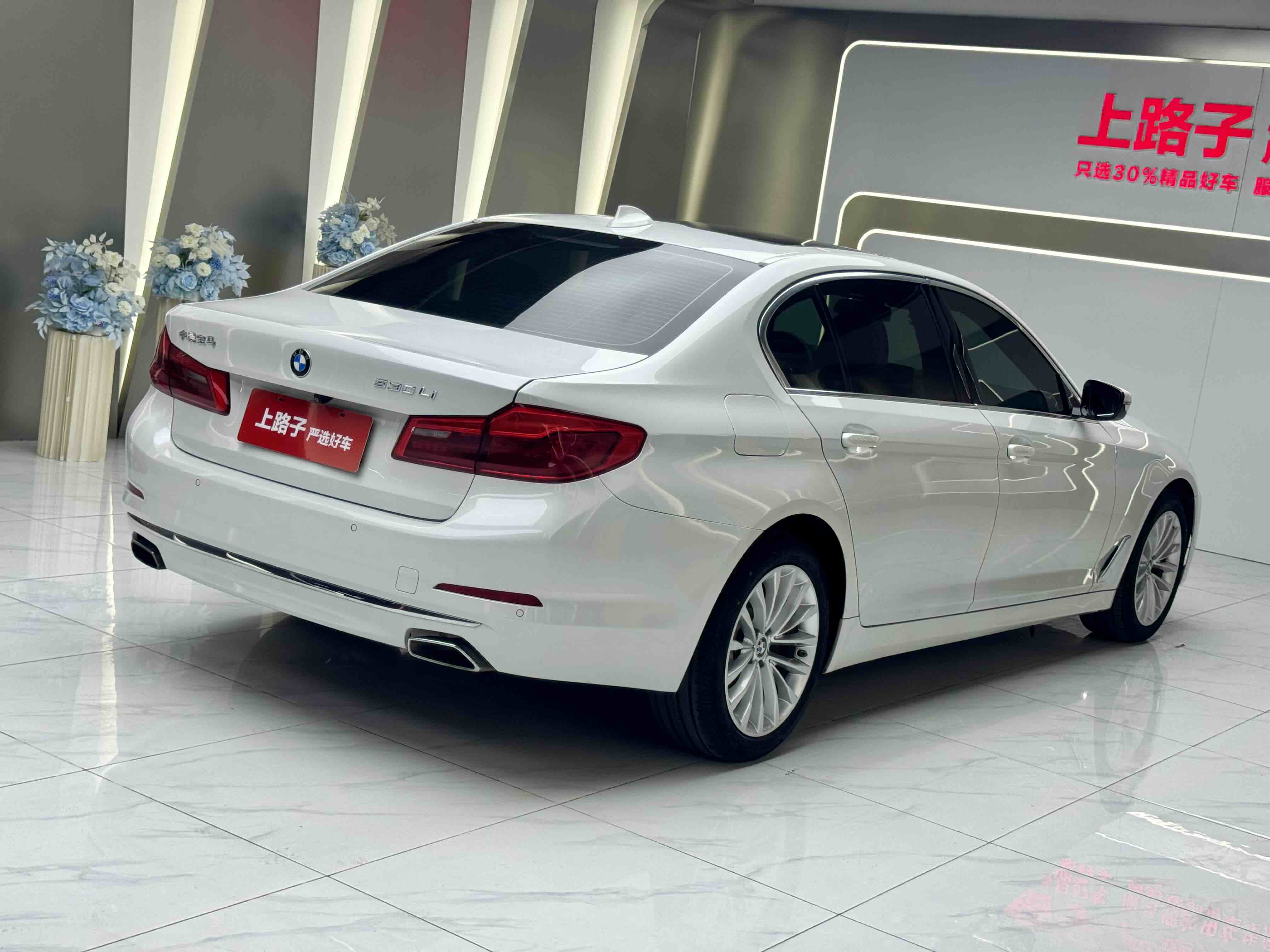 BMW 5 Series 2020 car image #4