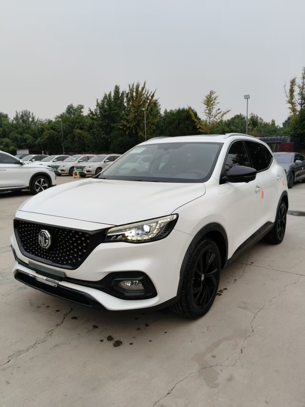 MG HS New Energy 2020 immagine di auto #4